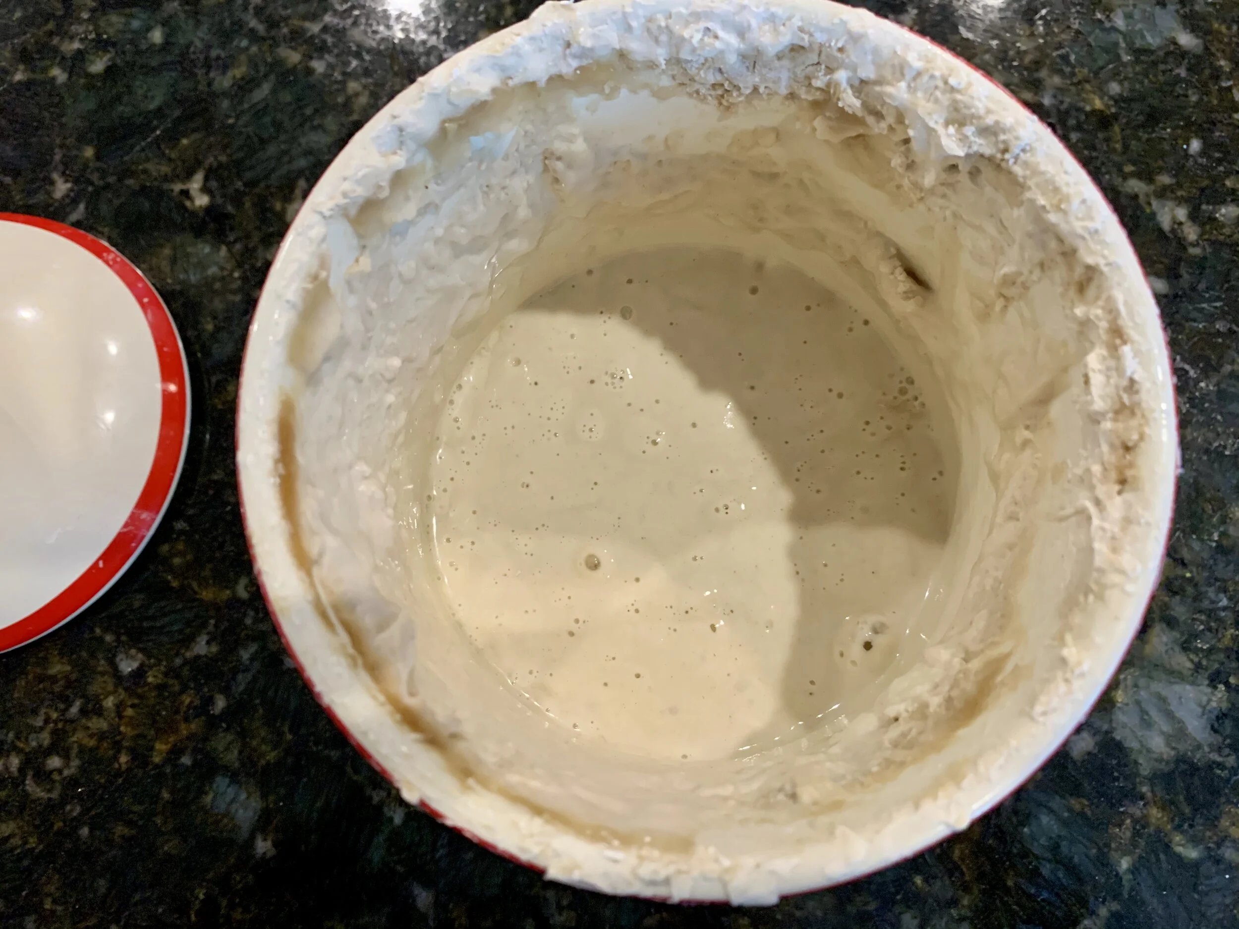 Sourdough Starter