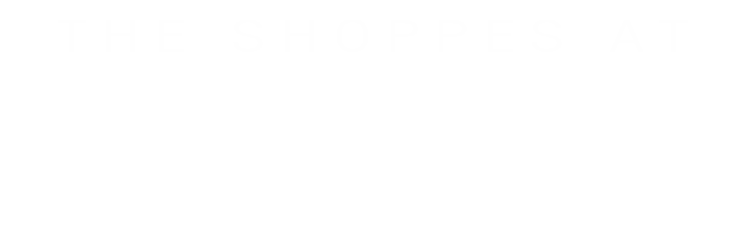 The Shoppes at North Village