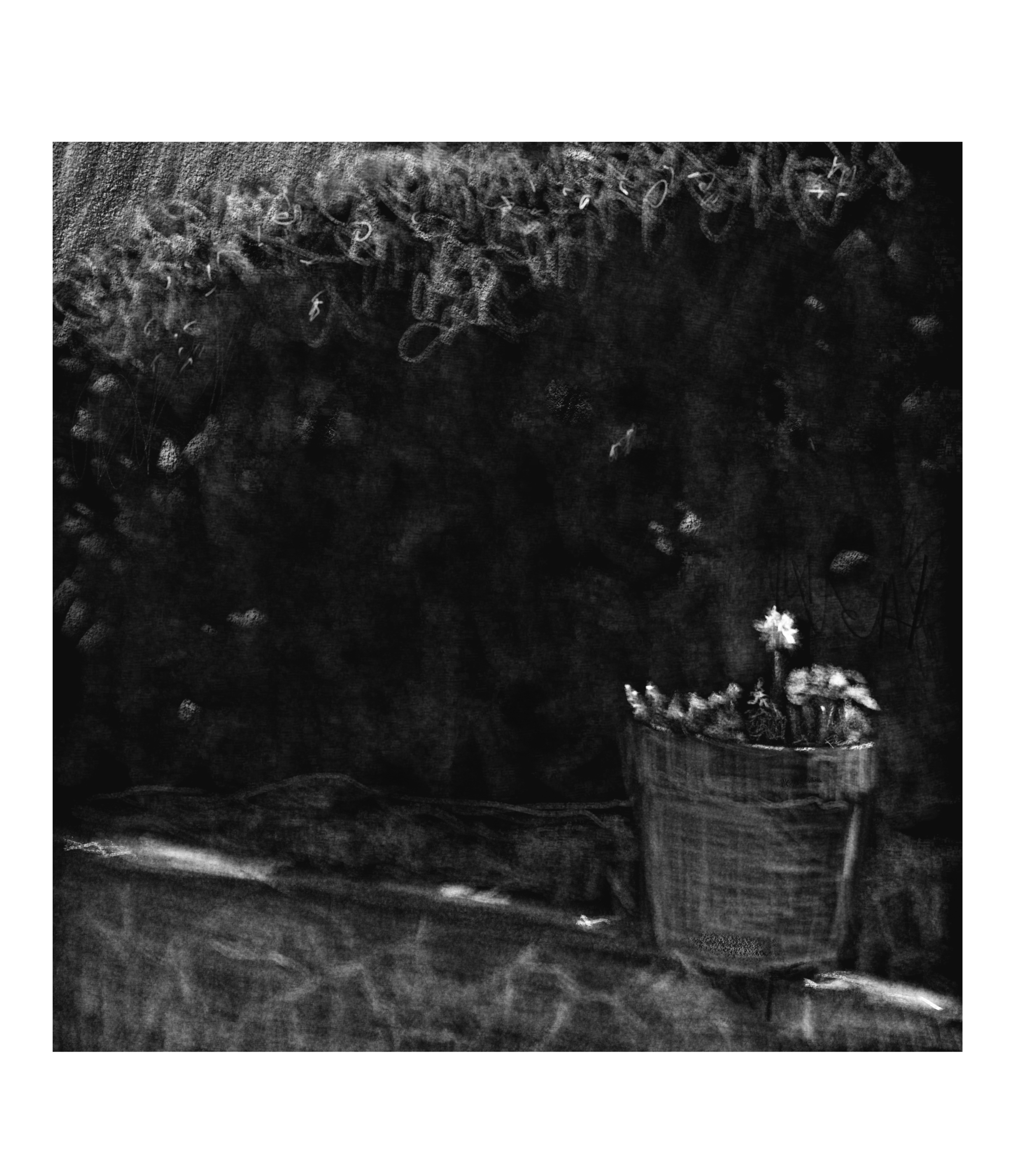 Untitled 8" X 10" digital drawing limited edition archival pigment print; February 2026 $75 