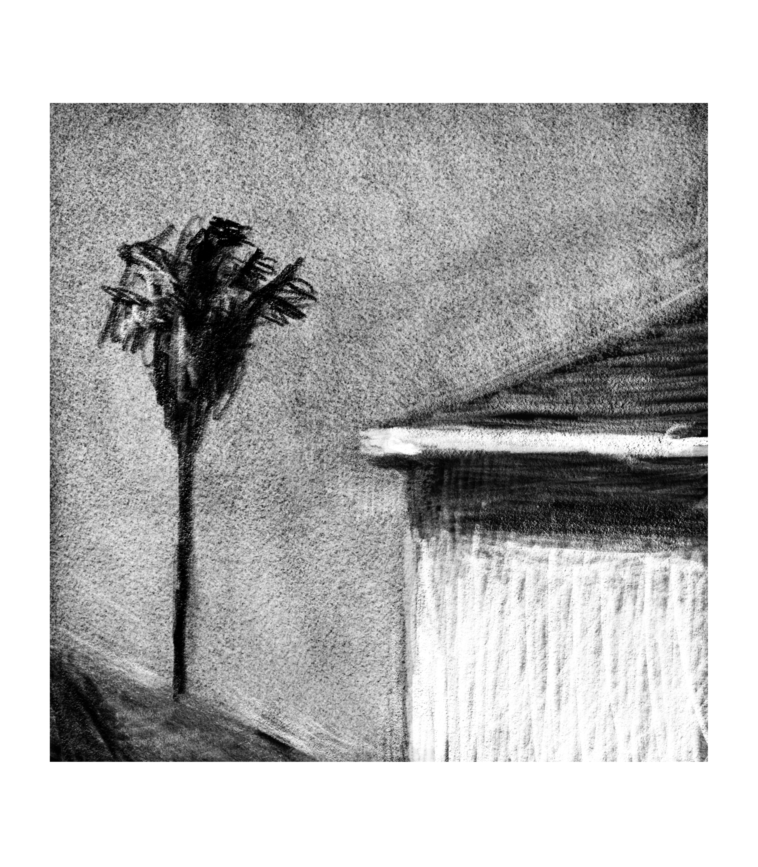 Del Rey 18 8" X 10" digital drawing limited edition archival pigment print; February 2026 $75 