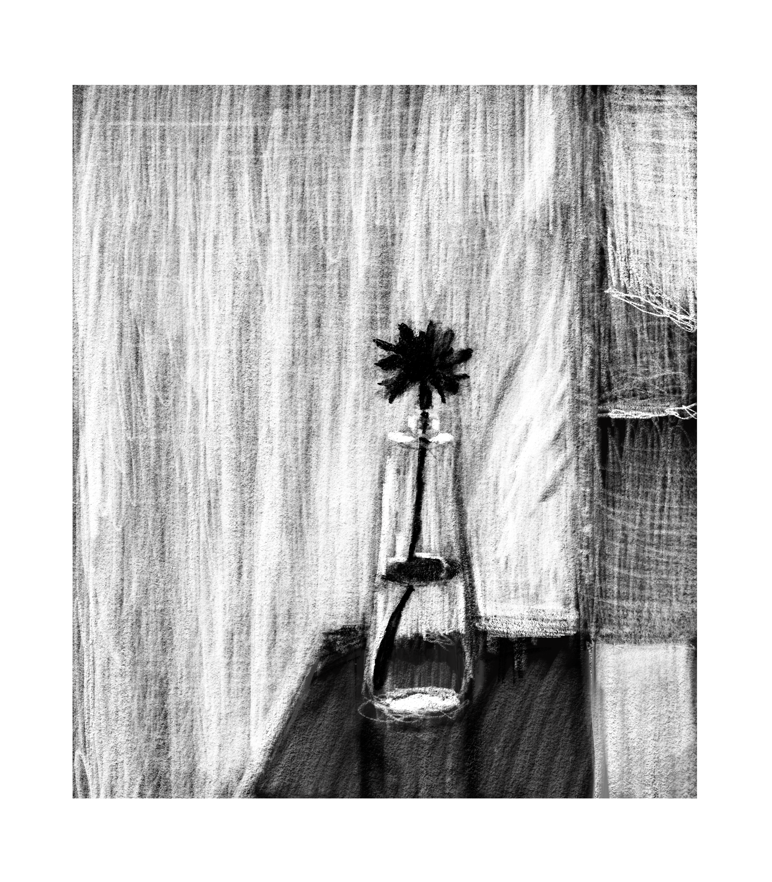 Window and Flower 8" X 10" digital drawing limited edition archival pigment print; February 2026 $75 