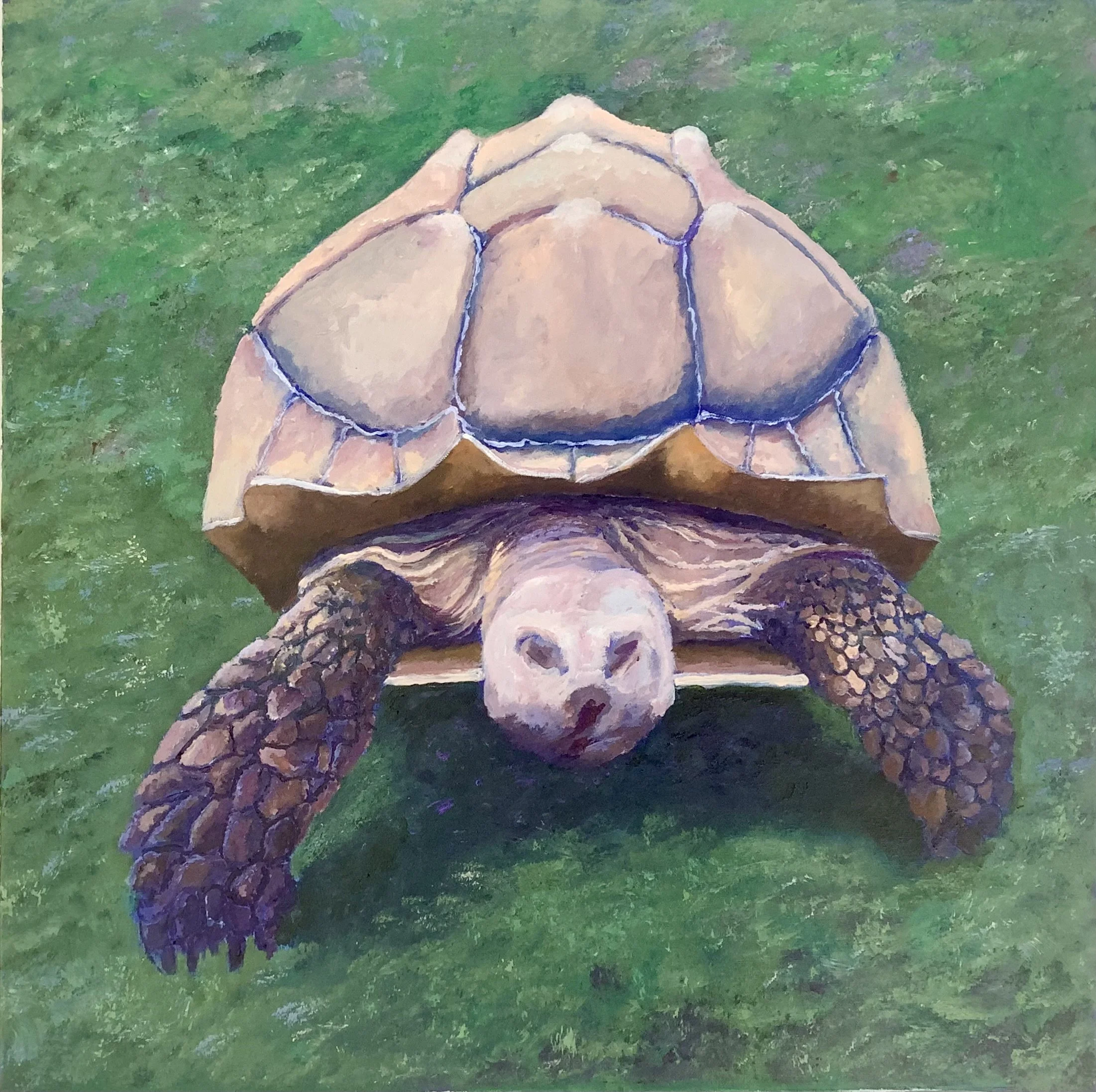 "Bea" 24"x24" acrylic on canvas August 2026 $1200-SOLD