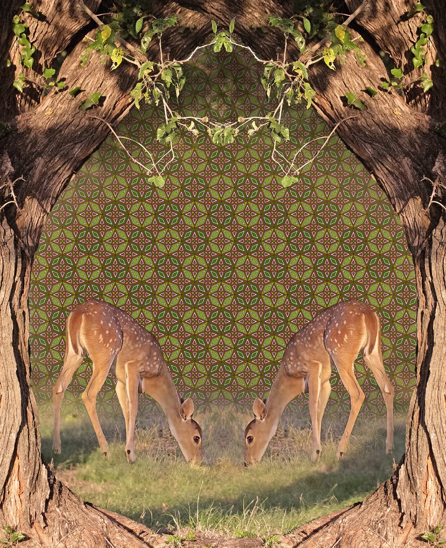 Sacred Ground By David Blow