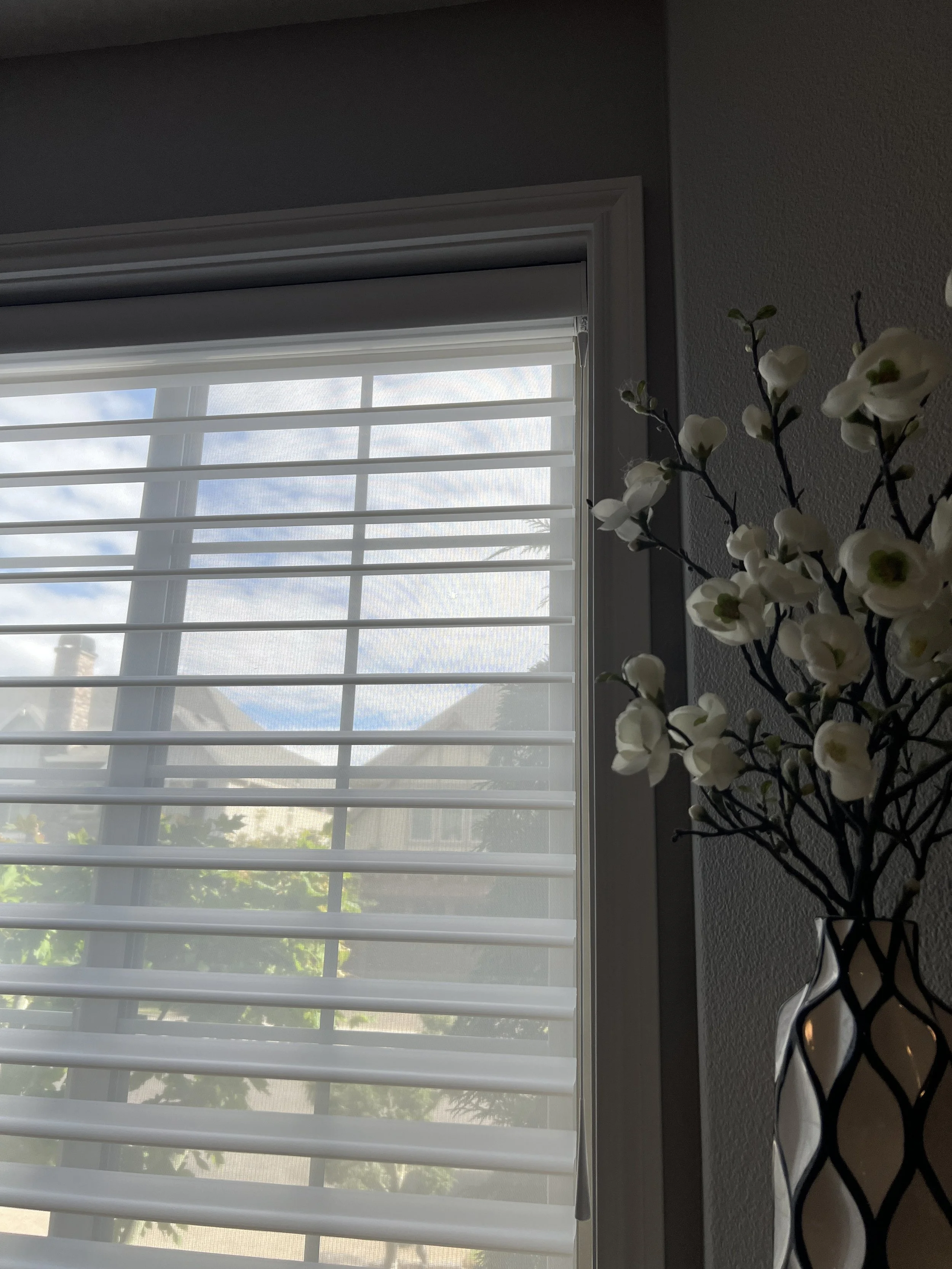 Hunter Douglas Silhouette Shades: Privacy & Light Control Guide