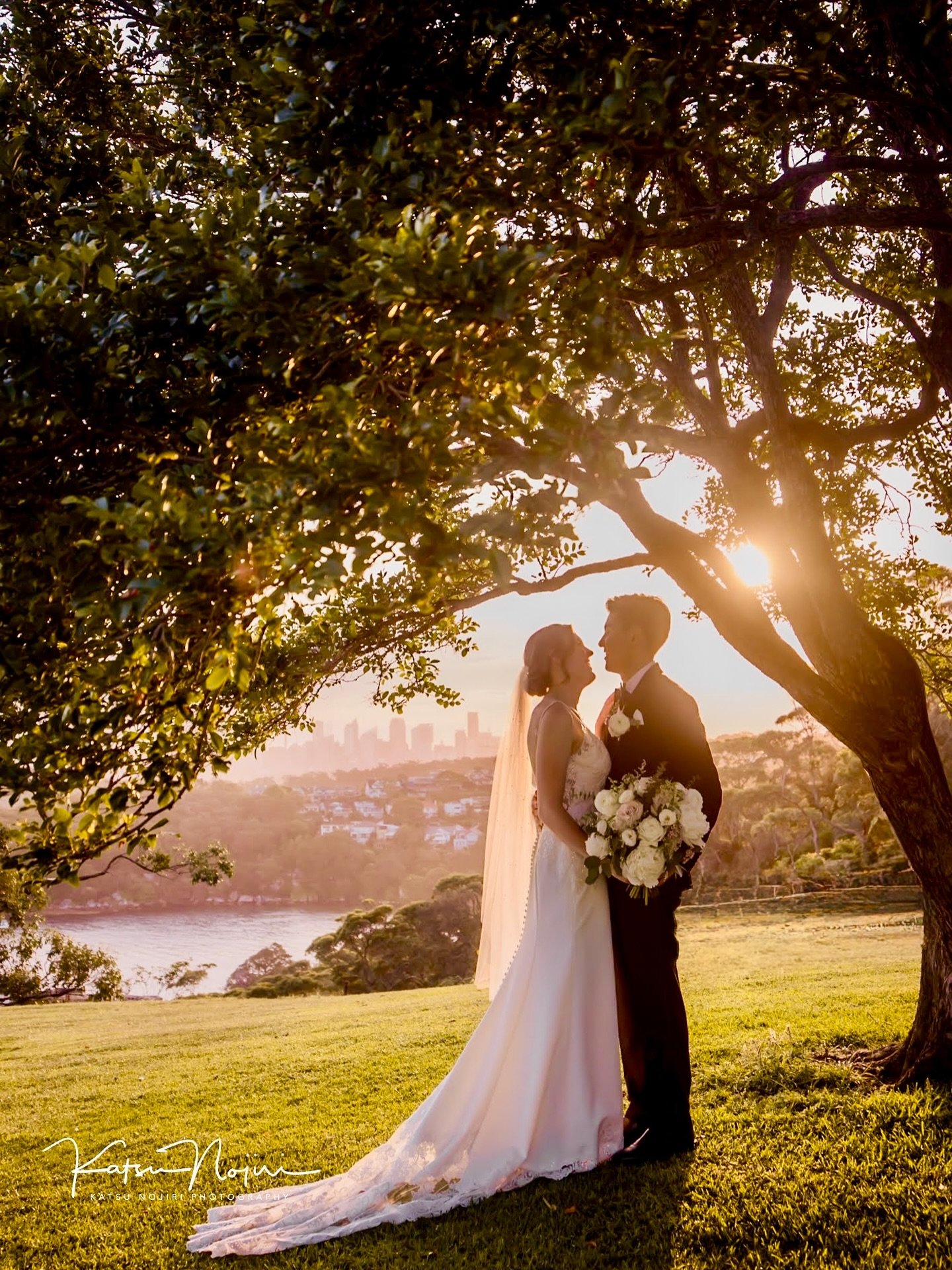 Golden hour hit just right 🌅
We had maybe five minutes before the sun disappeared behind the hill — and I told them, “Trust me, this light’s worth the sprint!” 😂
Shot this under one of my favourite trees at Gunners’ Ba