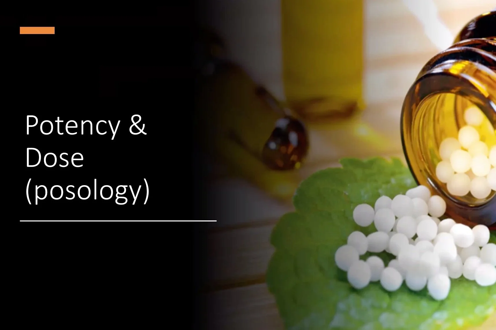 Kim Elia : Potency & Dose (Posology) Pt. I