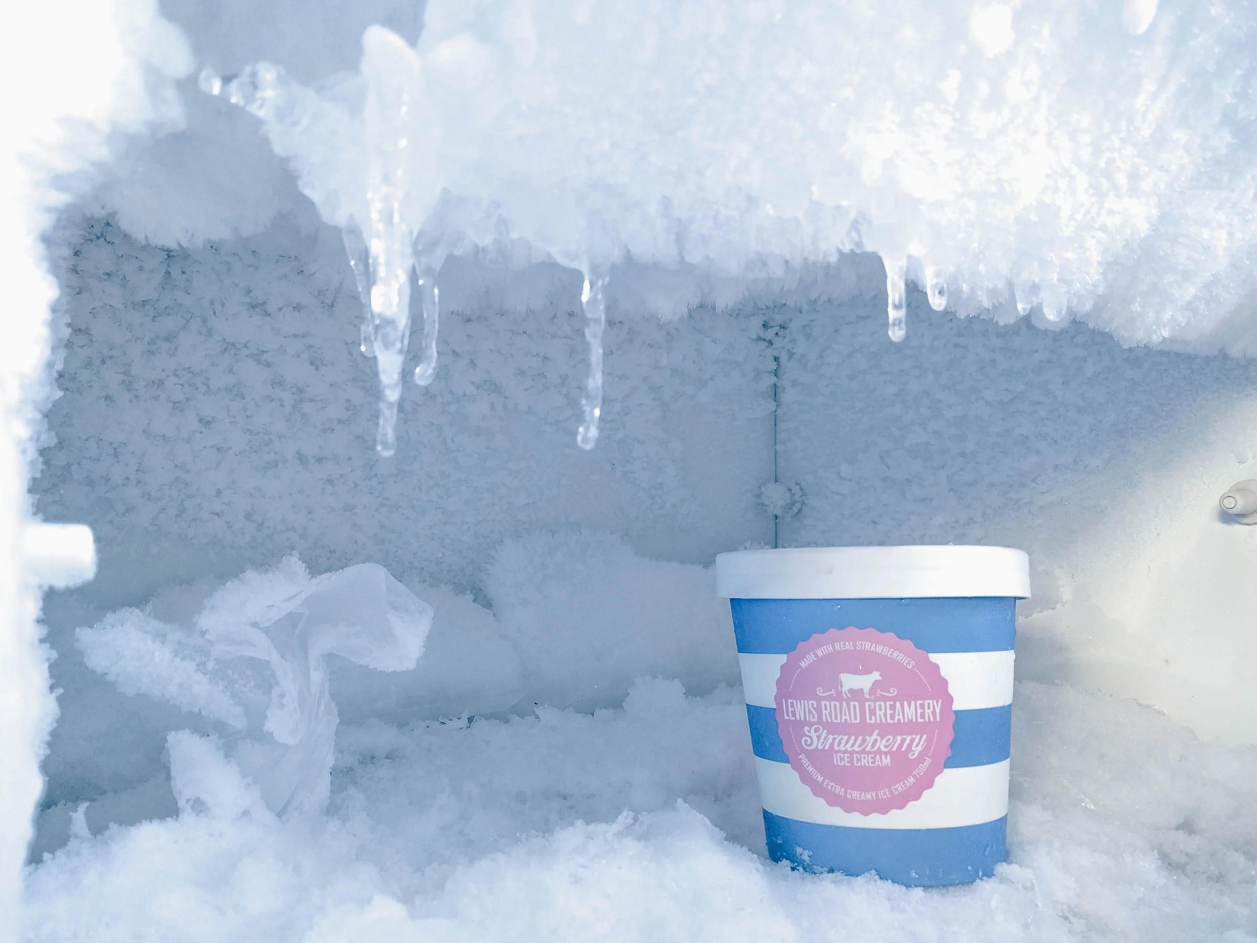 Science of Freezer Burn and How To Prevent It