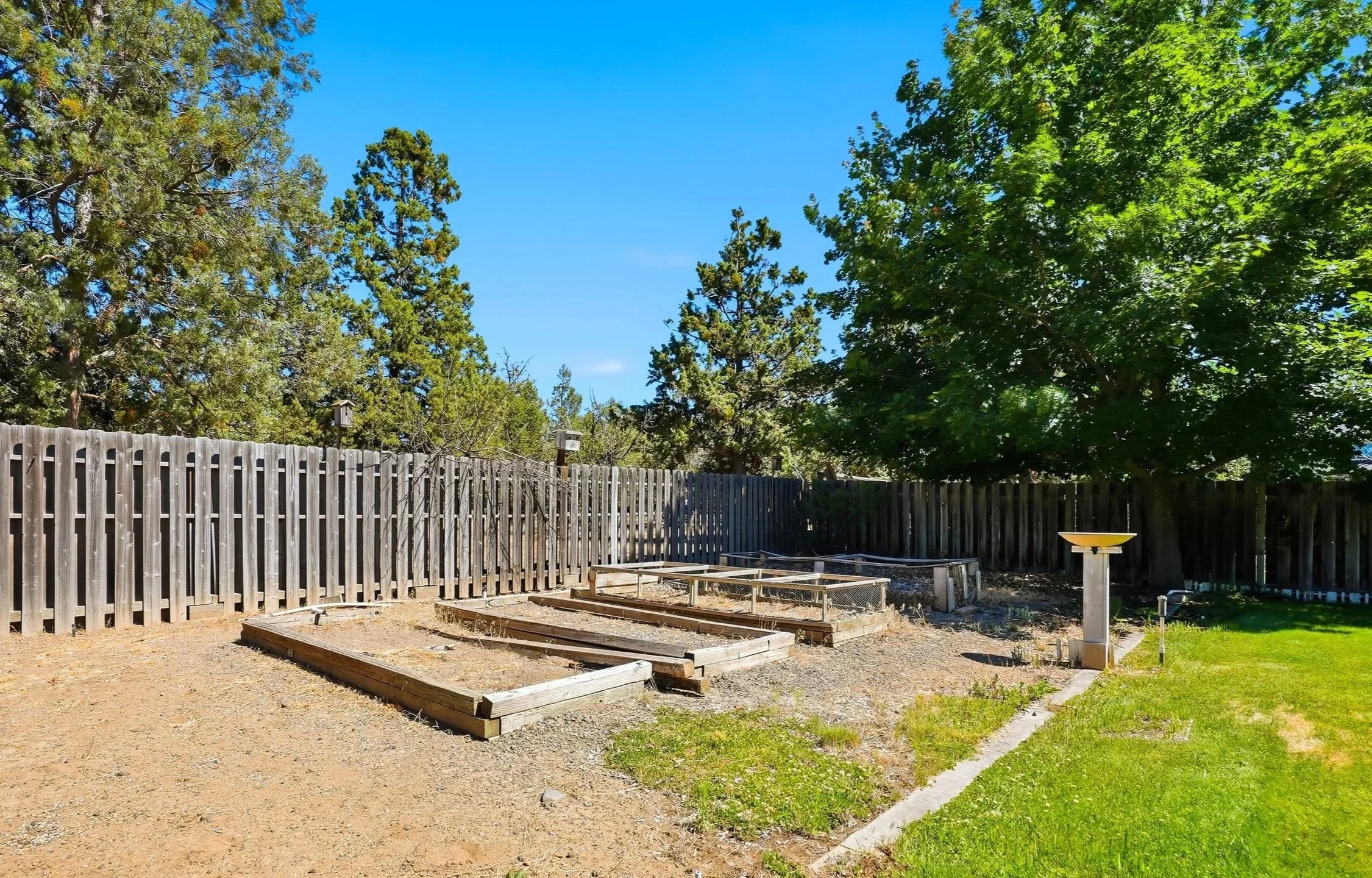 backyard+3.jpg