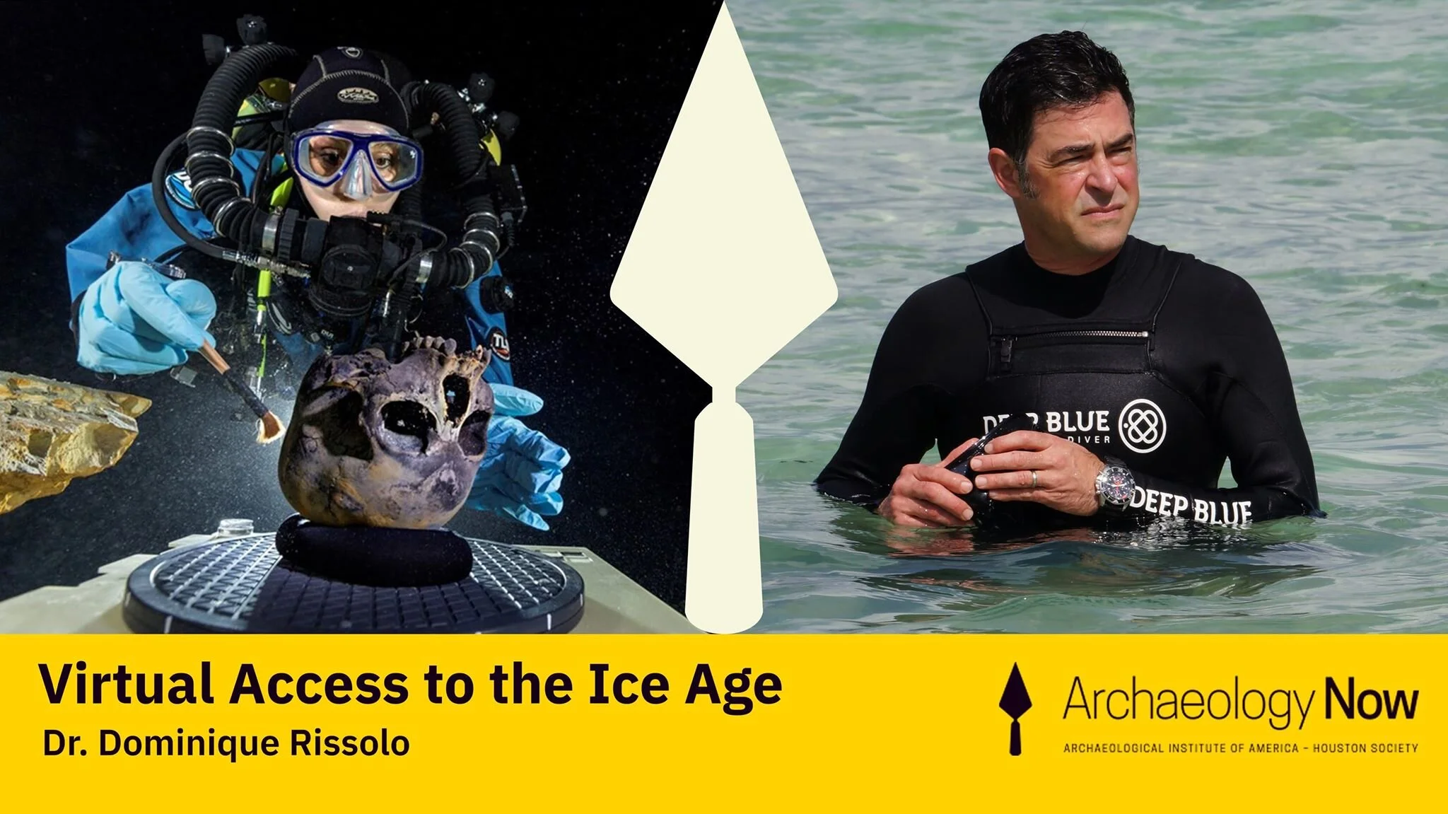 Virtual Access to the Ice Age