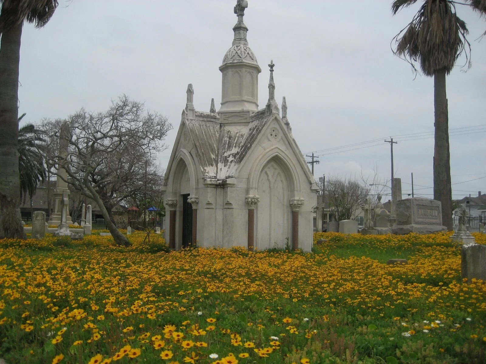 Hot in Houston Now, Oct. 24, 2019