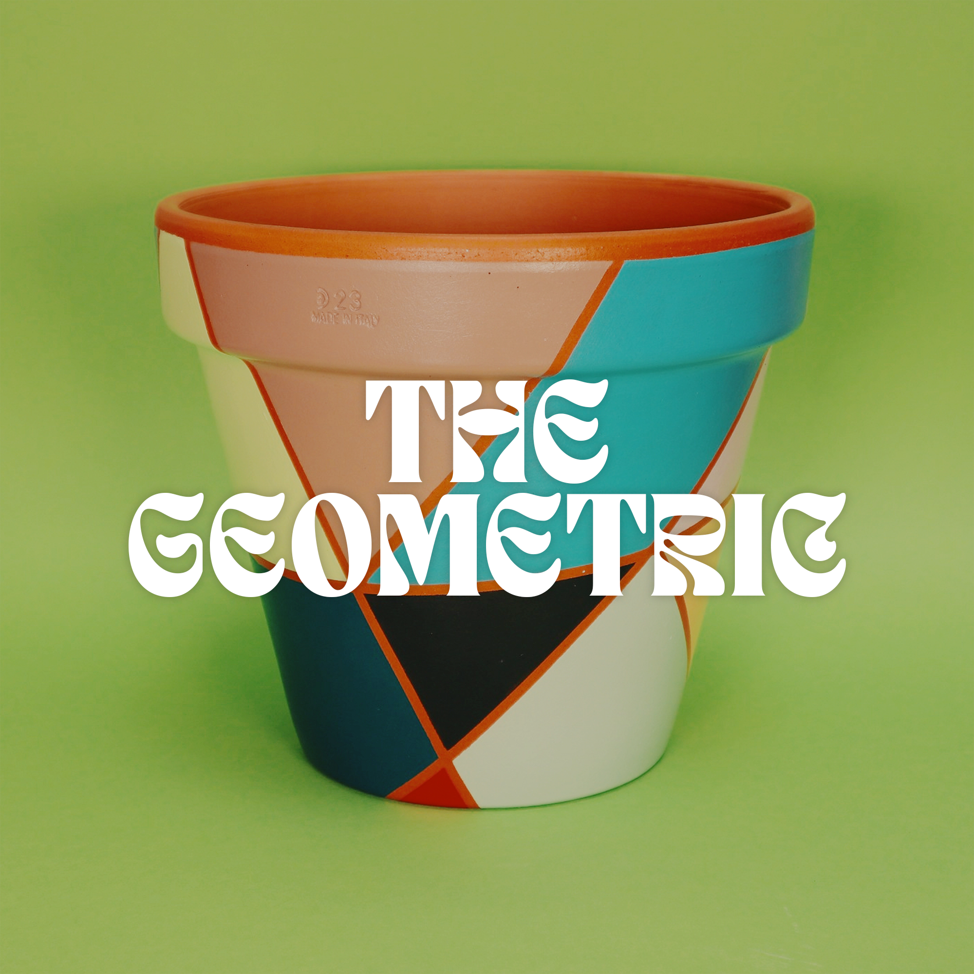 The Geometric