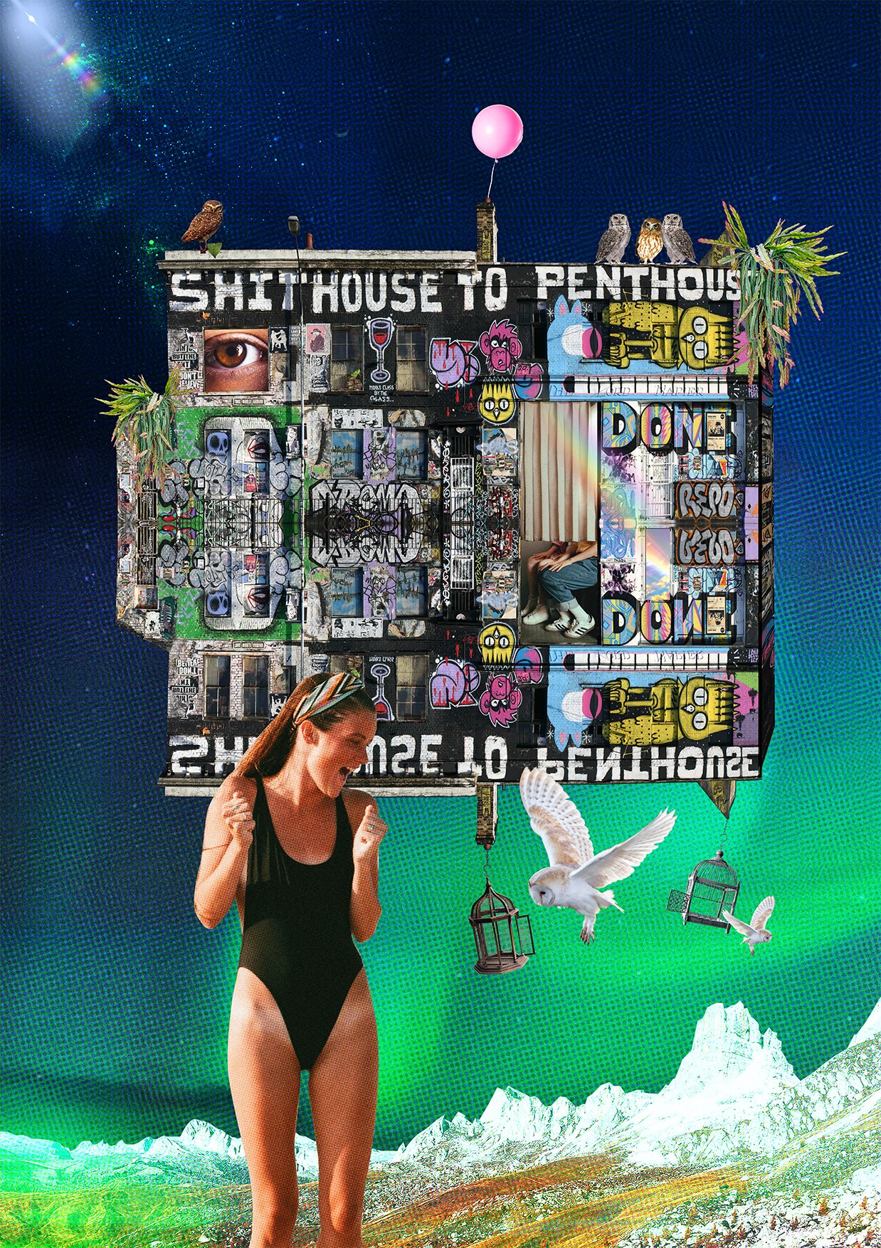 Shithouse to Penthouse.jpg