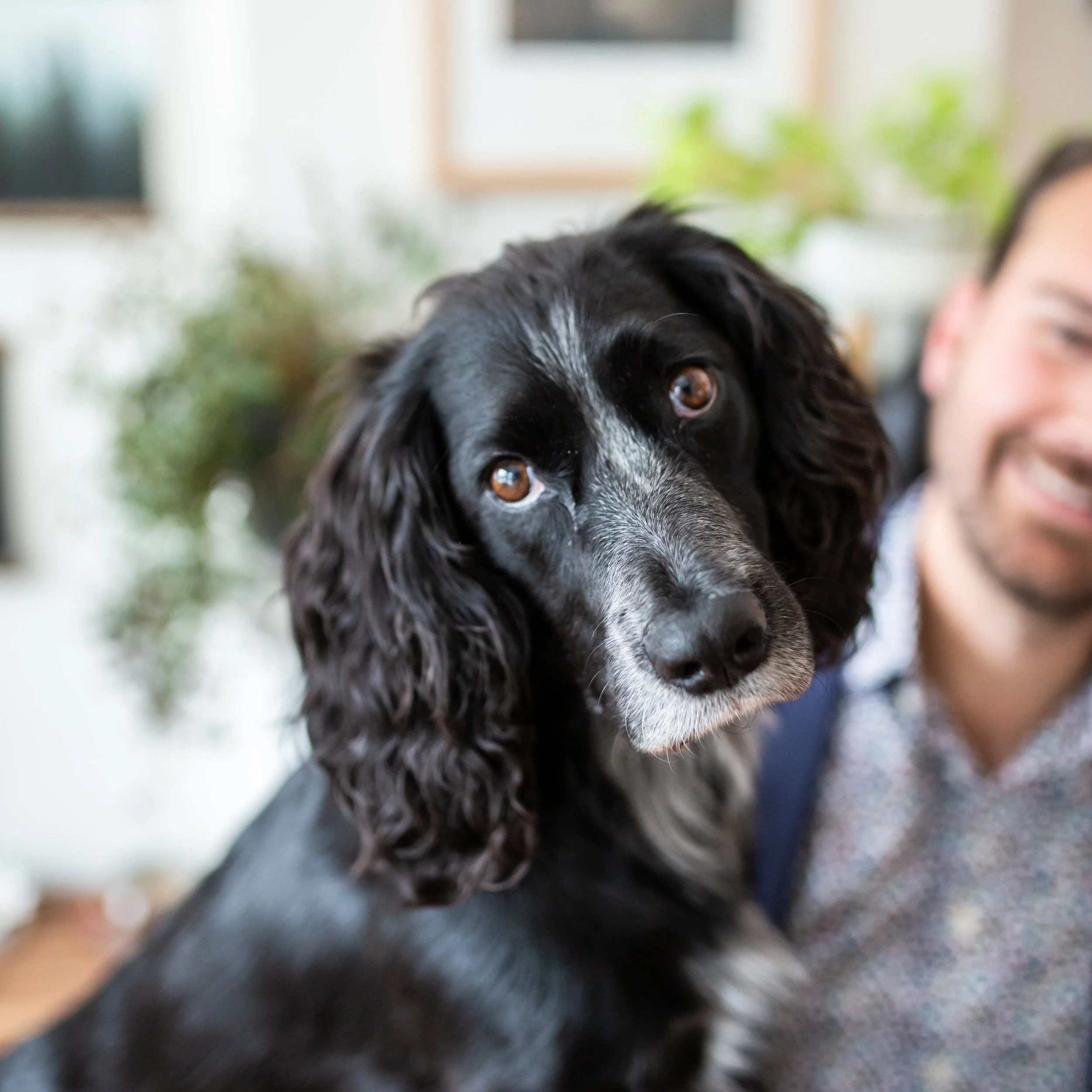 All About Mortgage Pre-Approvals