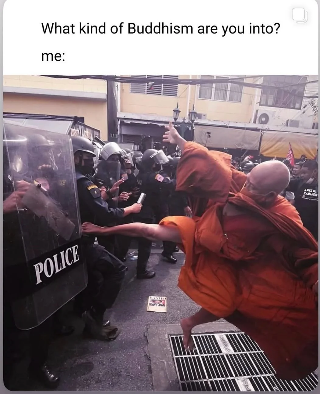 Day 3 of 28.

Today was a DAY, so here are some memes that have been speaking to me. 

I very much attune to Engaged Buddhism, as coined by Thich Nhat Hanh, a path of practice that does not separate inner awakening from compassionate action in the wo