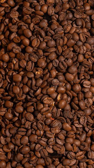 2023 Hatch Coffee Tut SM4_reel.gif