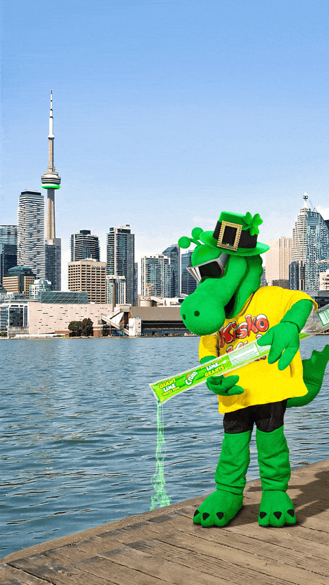 2025 Q1 Kisko_PM1_02.gif