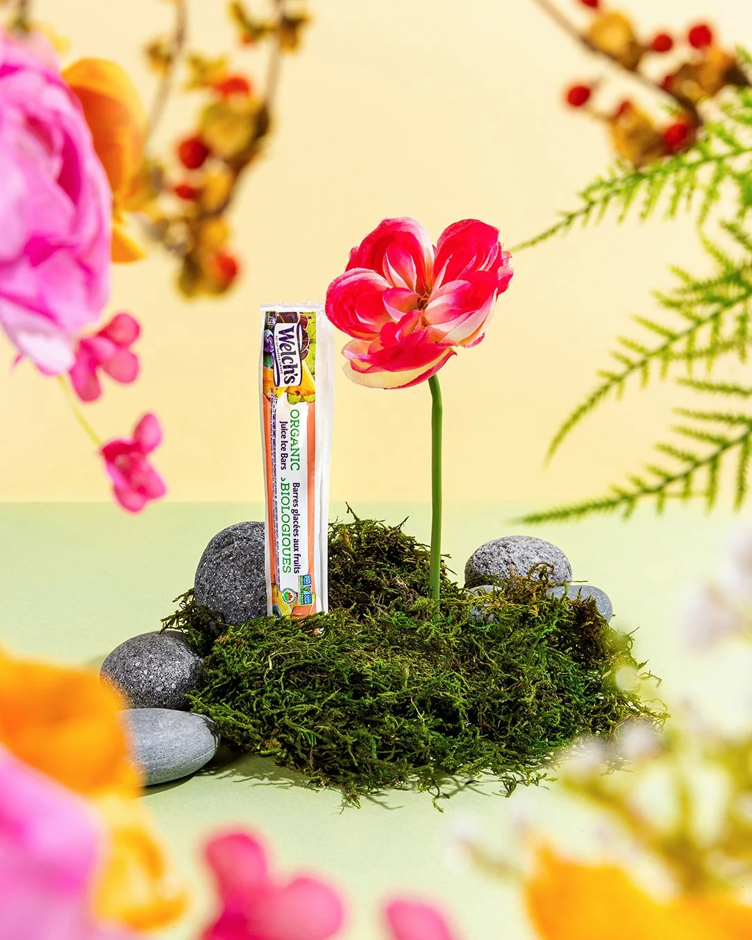 2025 Q1 Kisko_PM6_web.jpg