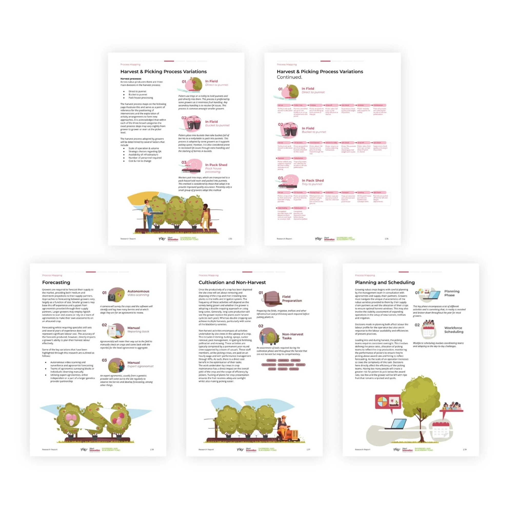 Rubus%2Bportfolio%2Bedits-03.jpg