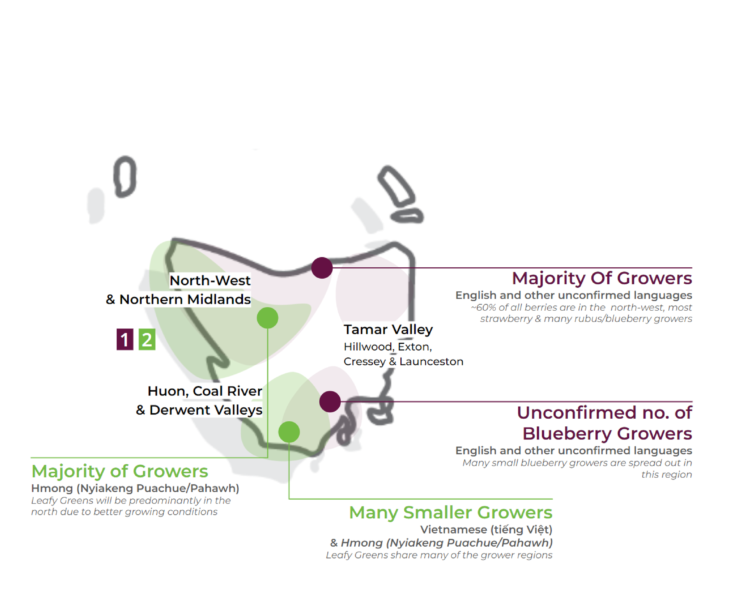 Grower guides and strategy-16.png