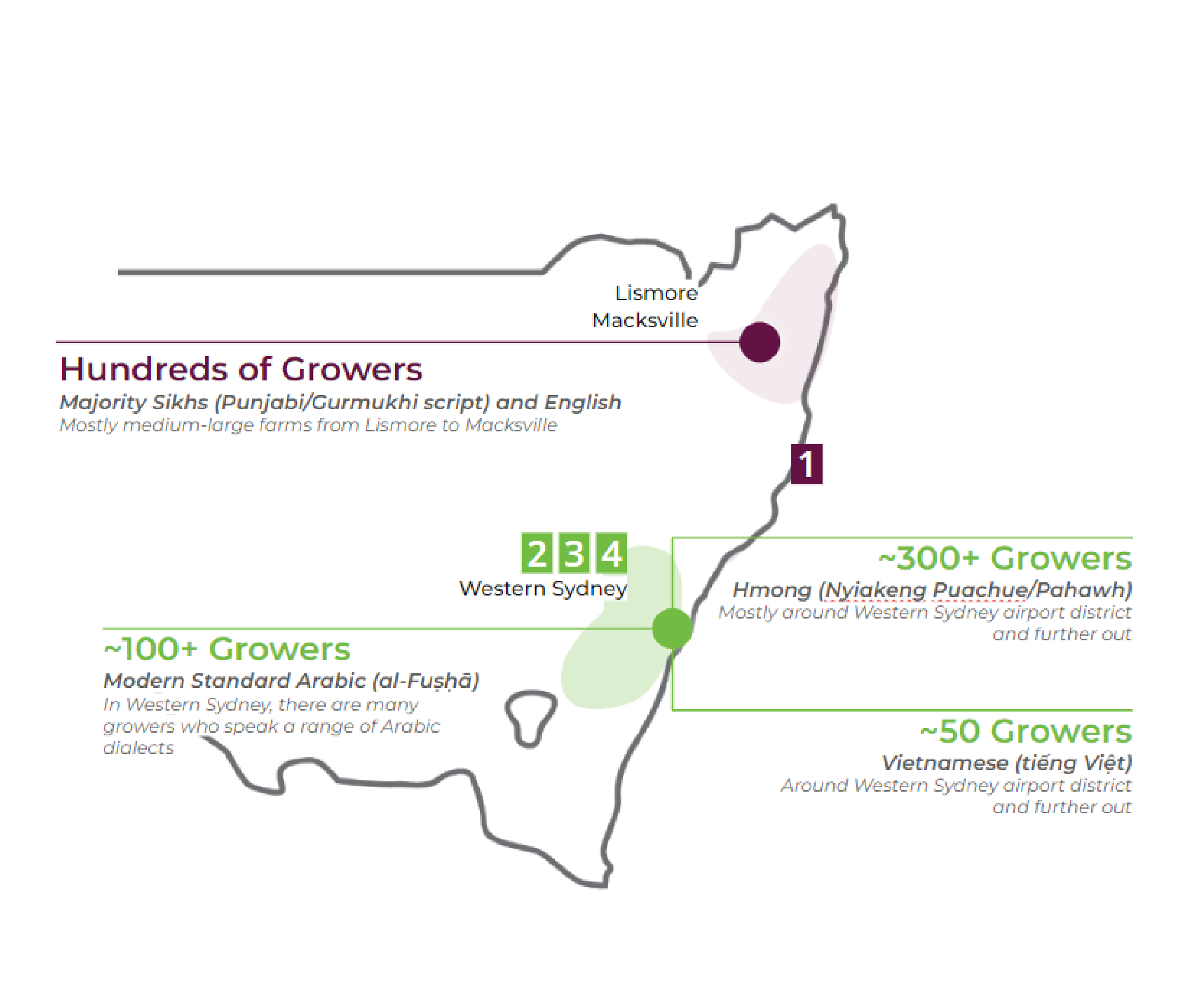 Grower guides and strategy-12.png