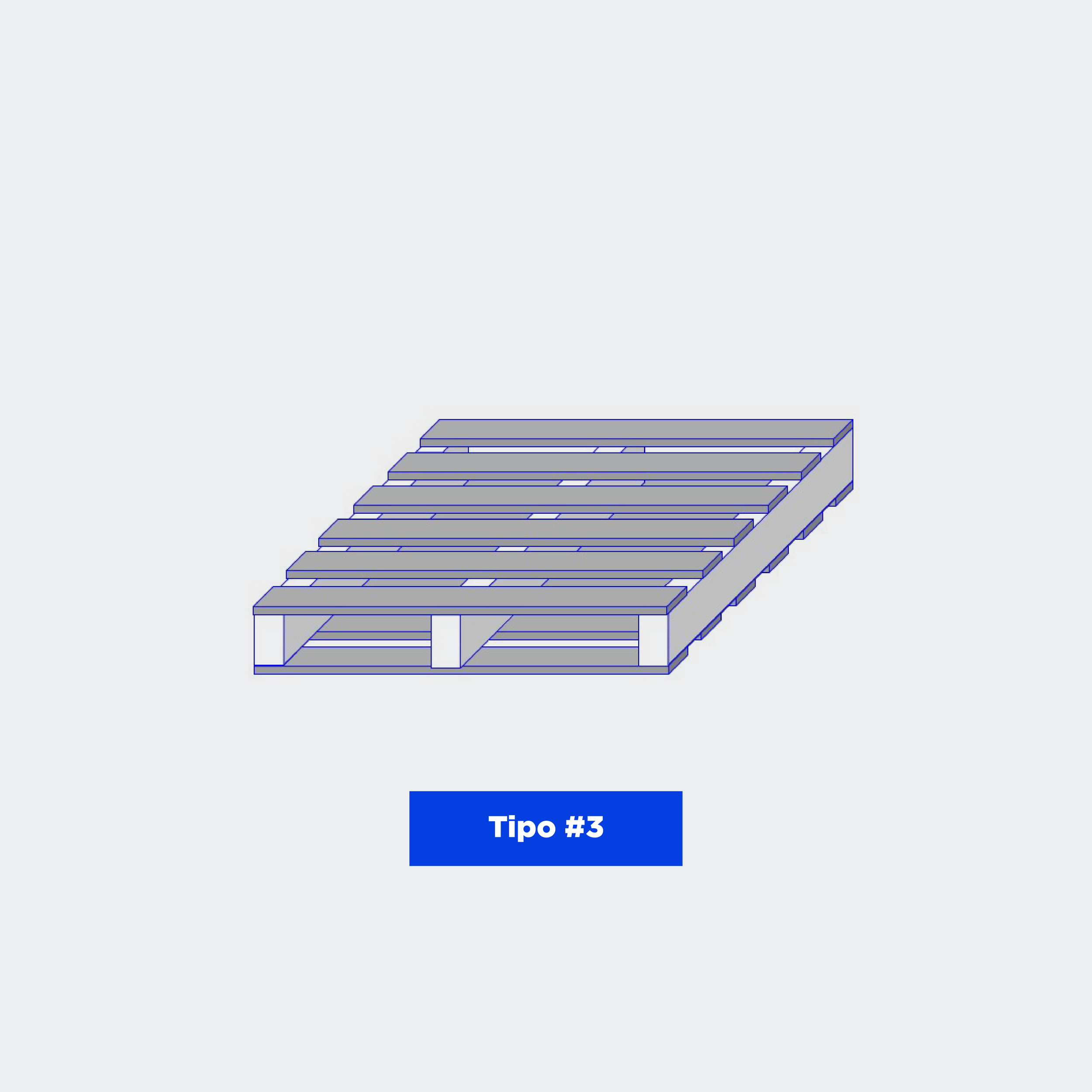 Tarima S.A_Sitio Web-04.png