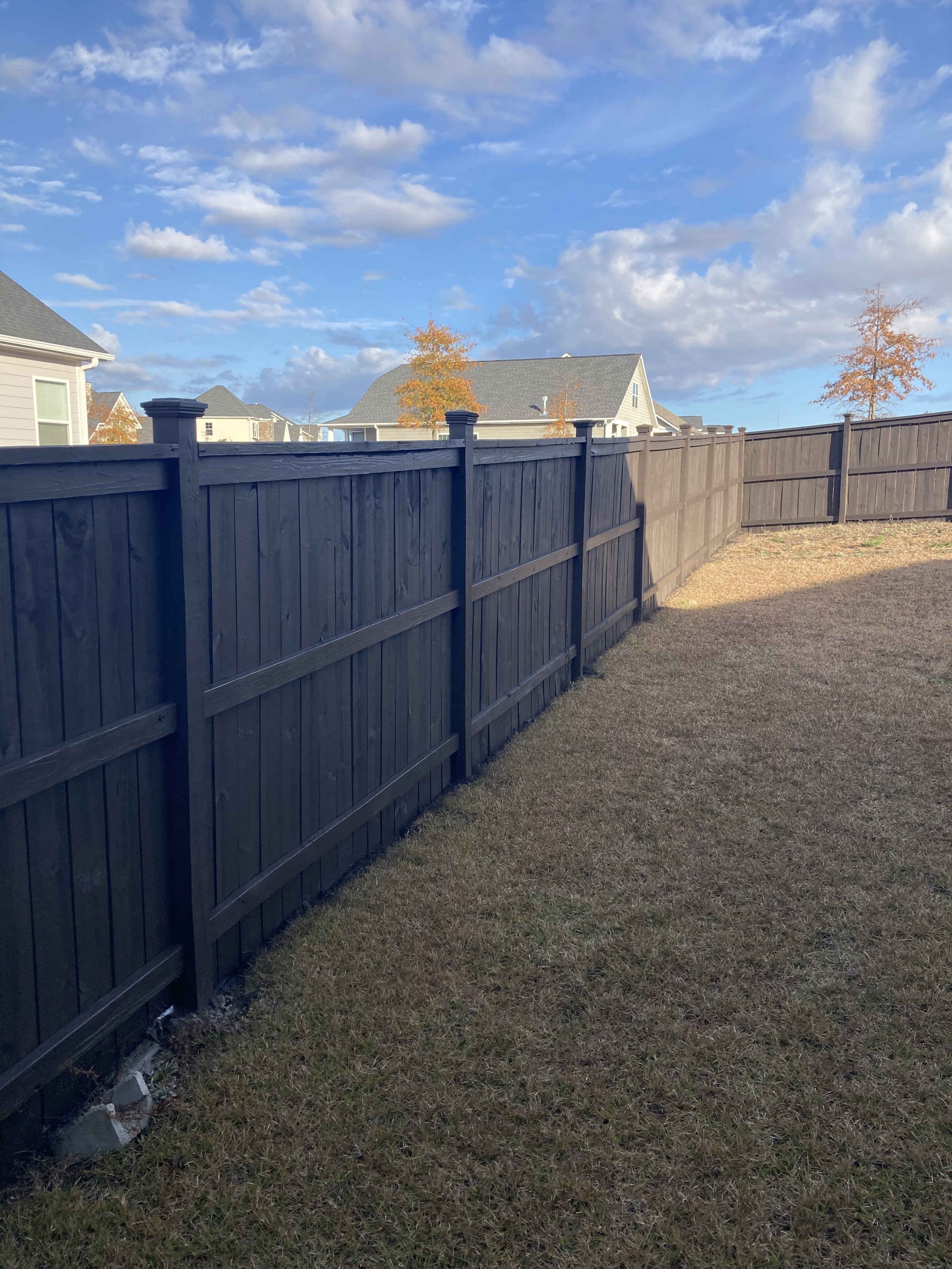 A backyard with a black wooden fence, a lawn with brown grass, and houses visible in the background under a partly cloudy sky.
