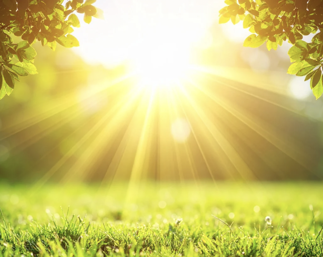 Screen Shot 2026-04-14 at 2.04.38 PM.png