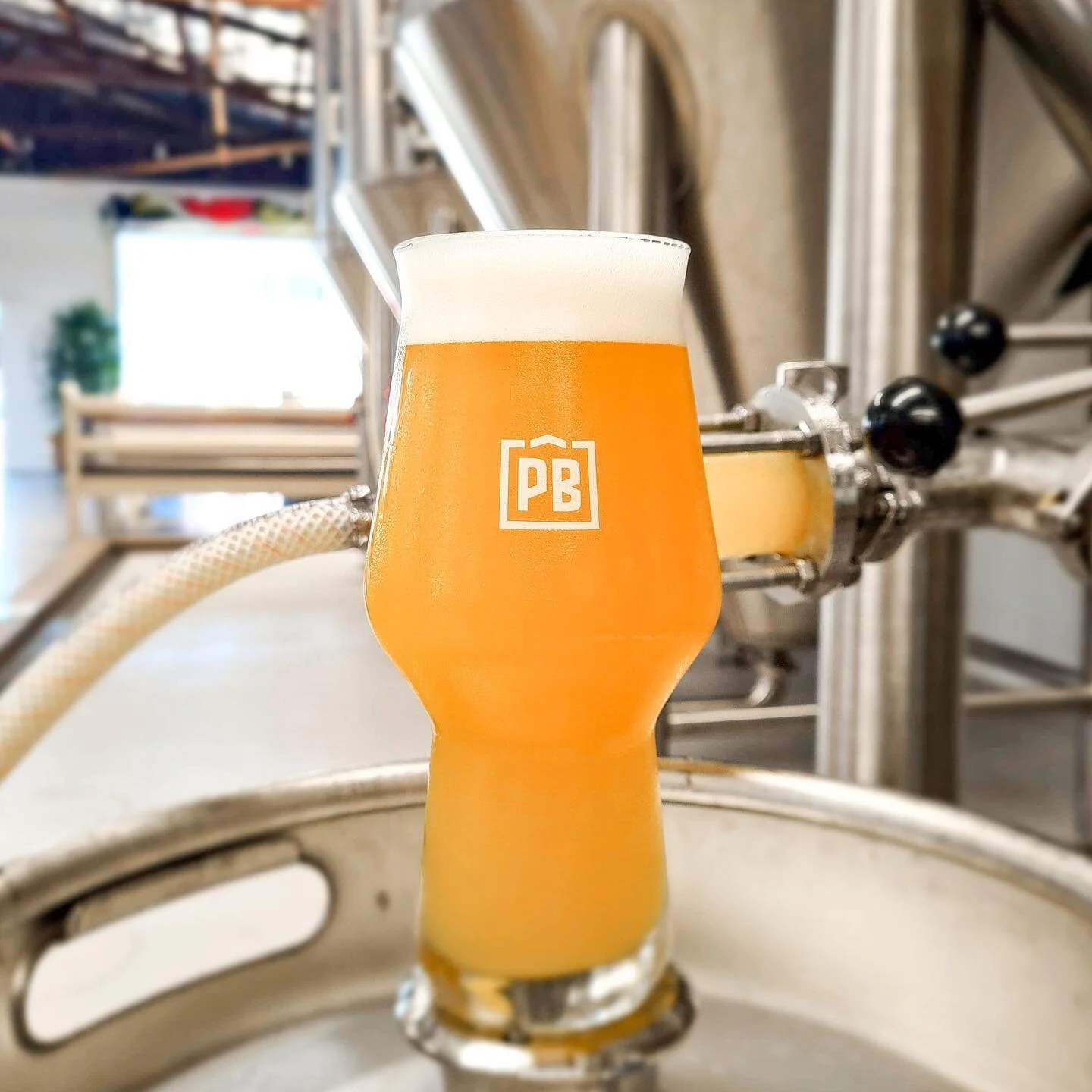 FRIDAY BEER RELEASE 12.2.21

INTRODUCING HAZY PALE ALE