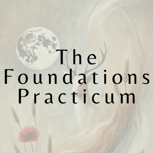 The Foundations Practicum
