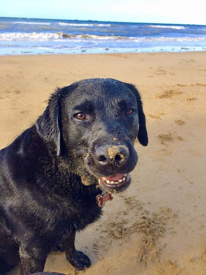 Rue — retired