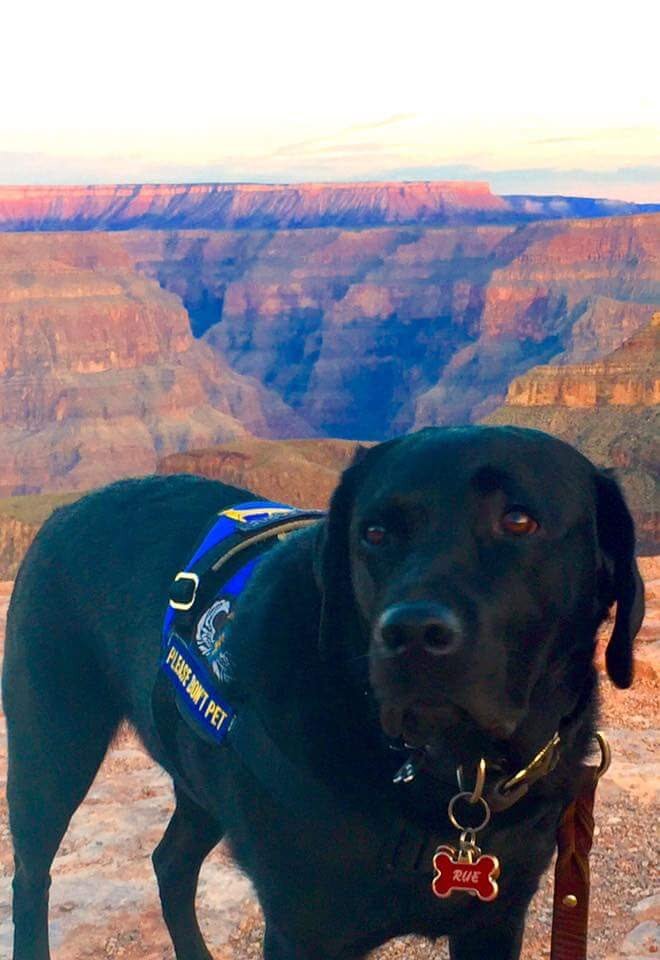Rue at the Grand Canyon