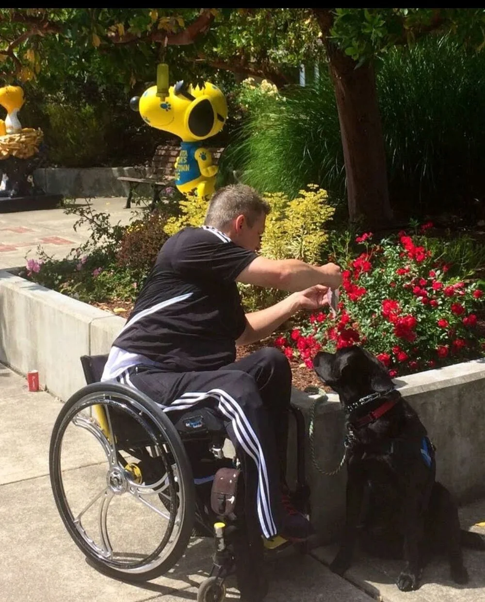 Spreading Napal’s ashes with Rue