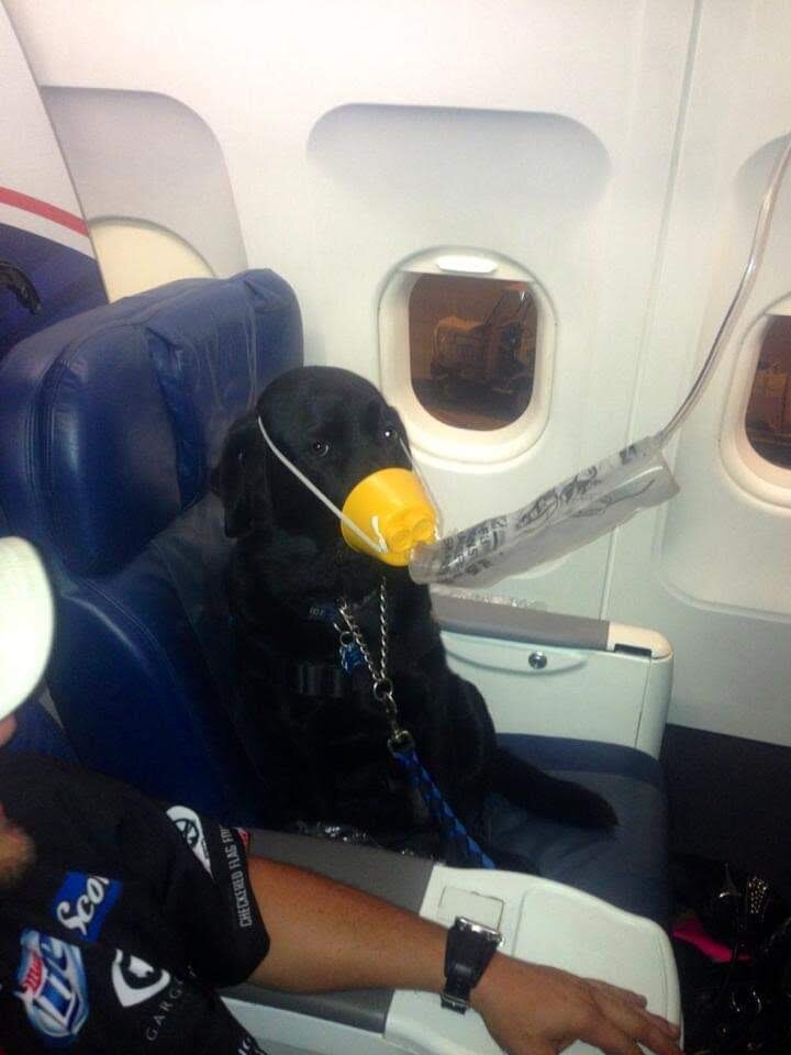 Napal not taking any chances