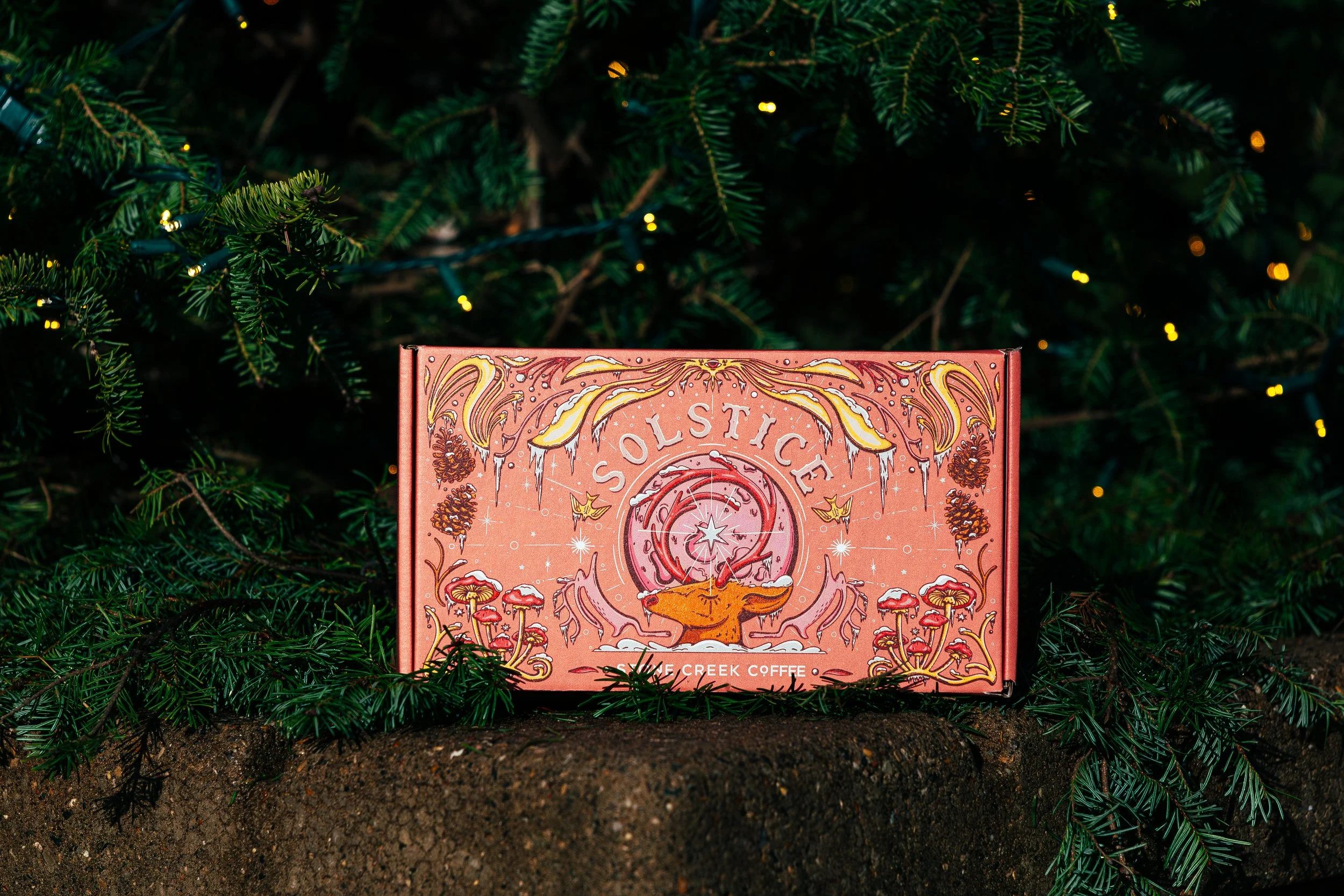 Solstice Box Set in holiday decorations.jpg
