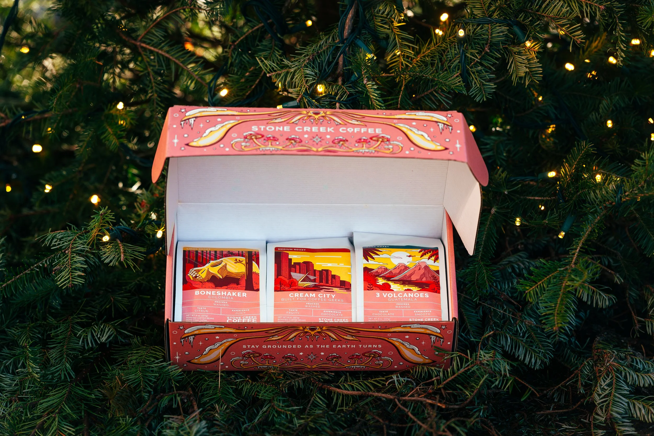 Solstice Box Set in holiday decorations2.jpg