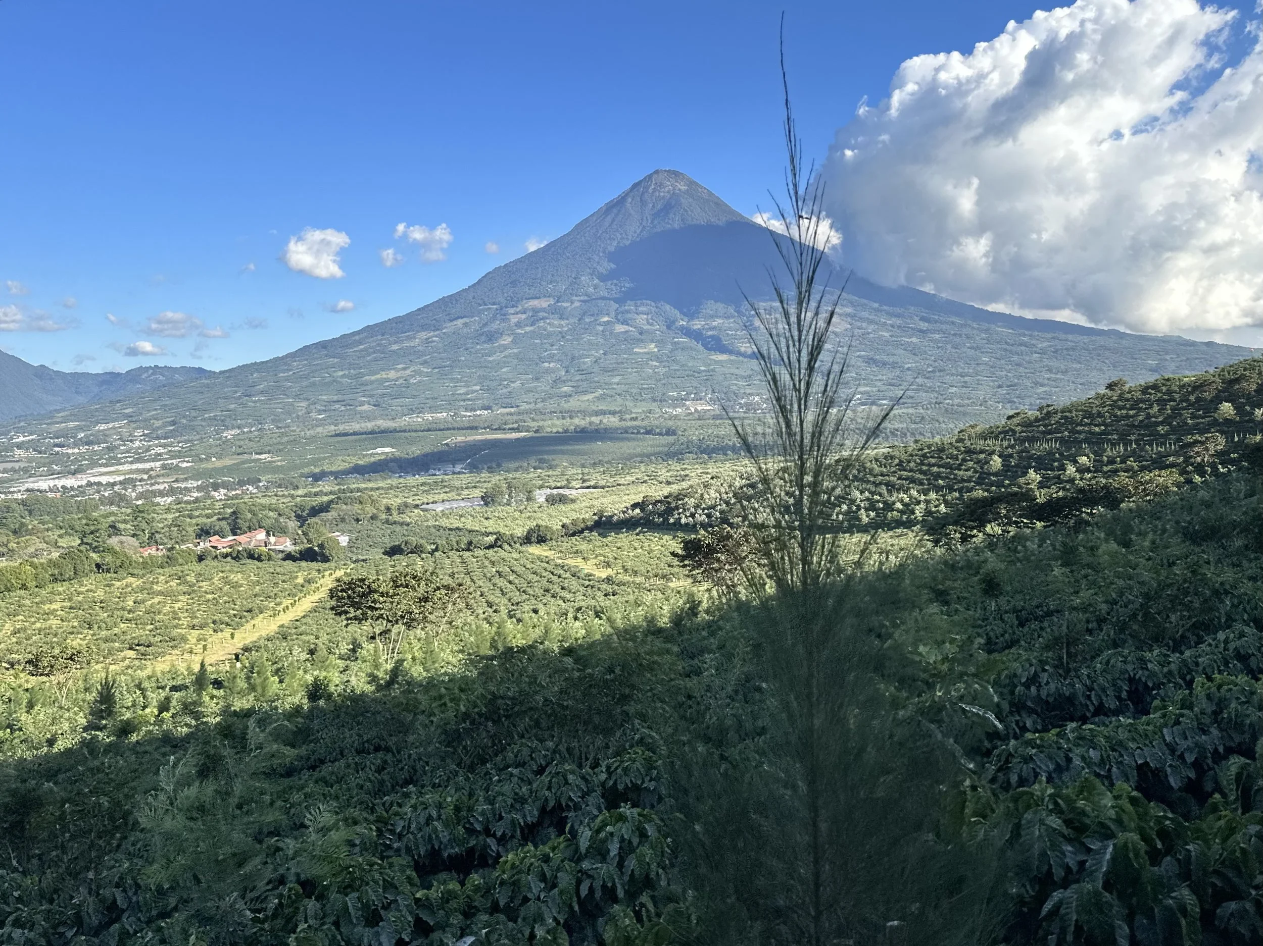 Scenic view of a volcano with lush green vegetation in the foreground, a partly cloudy sky, and a few scattered clouds around the mountain's peak.