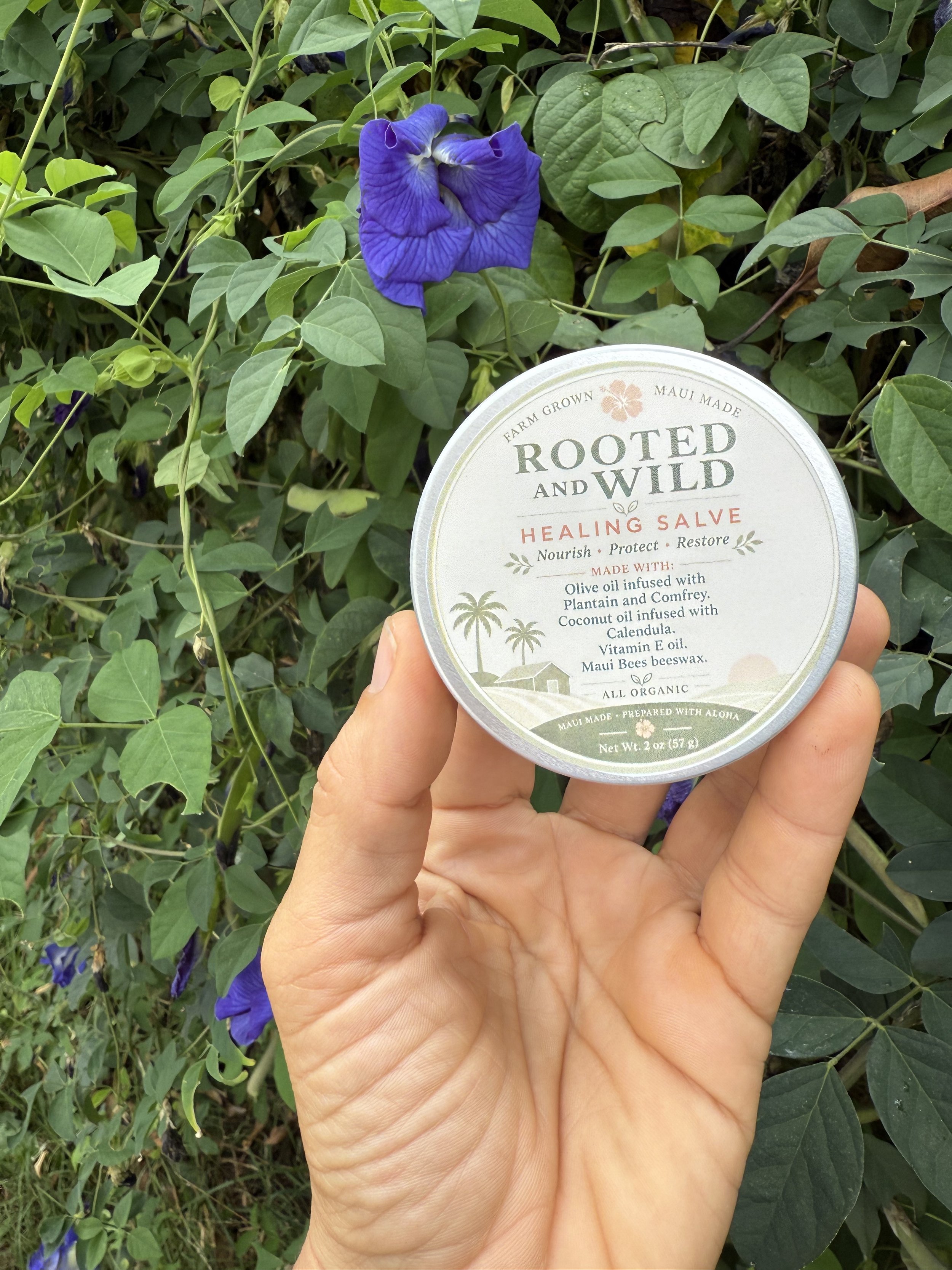 Rooted and Wild Healing Salve
