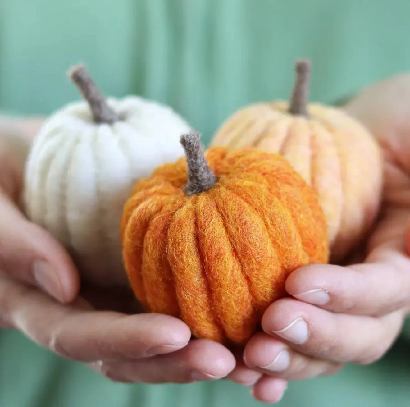 Pumpkin Felting Kit