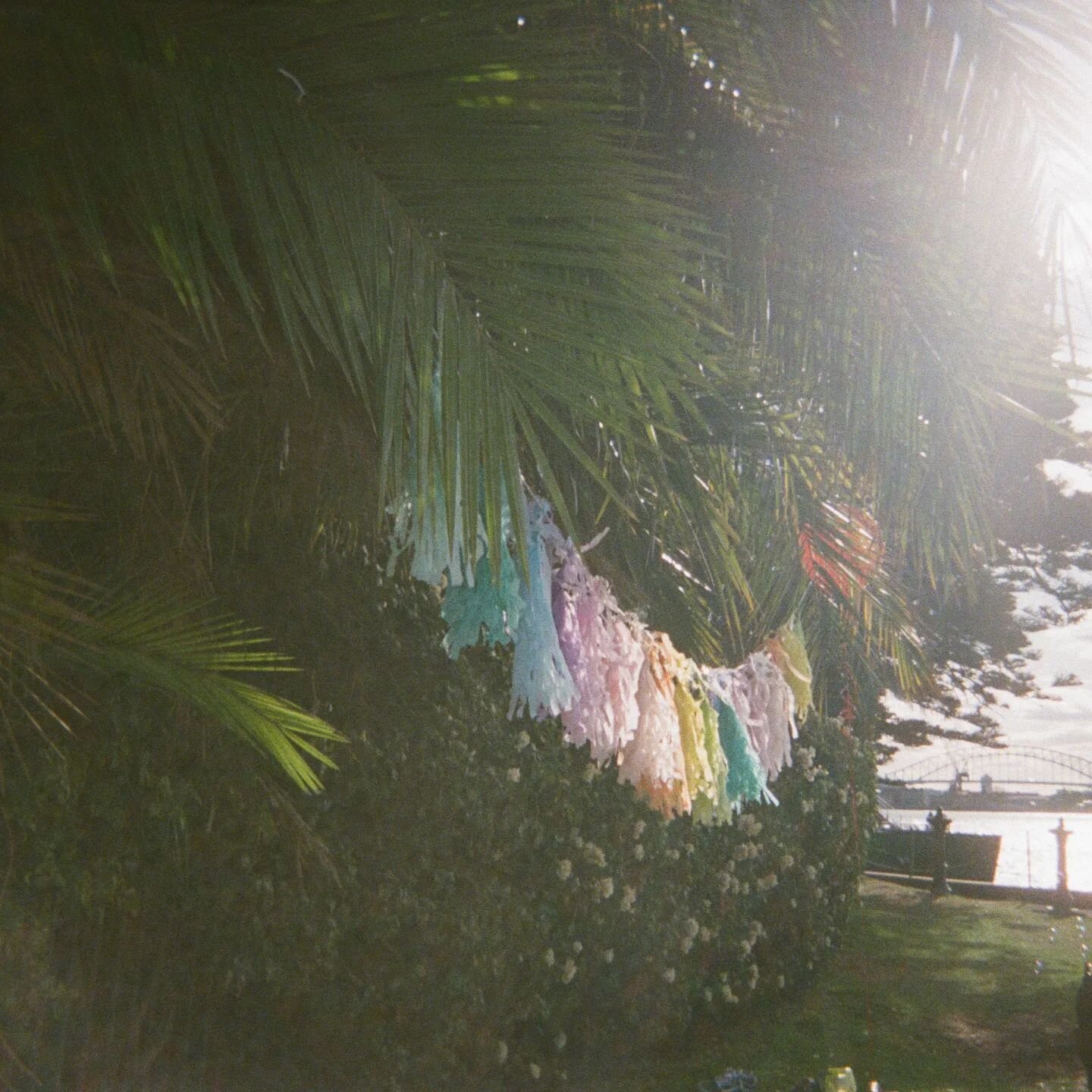 August was a celebration month for @beairdproductions. We had a series of surreal birthday parties which included Citizen Kane, Genesis Owusu, the Great Ocean Road and Melbourne.
We are so blessed to have talented people around us, who inspire us wit