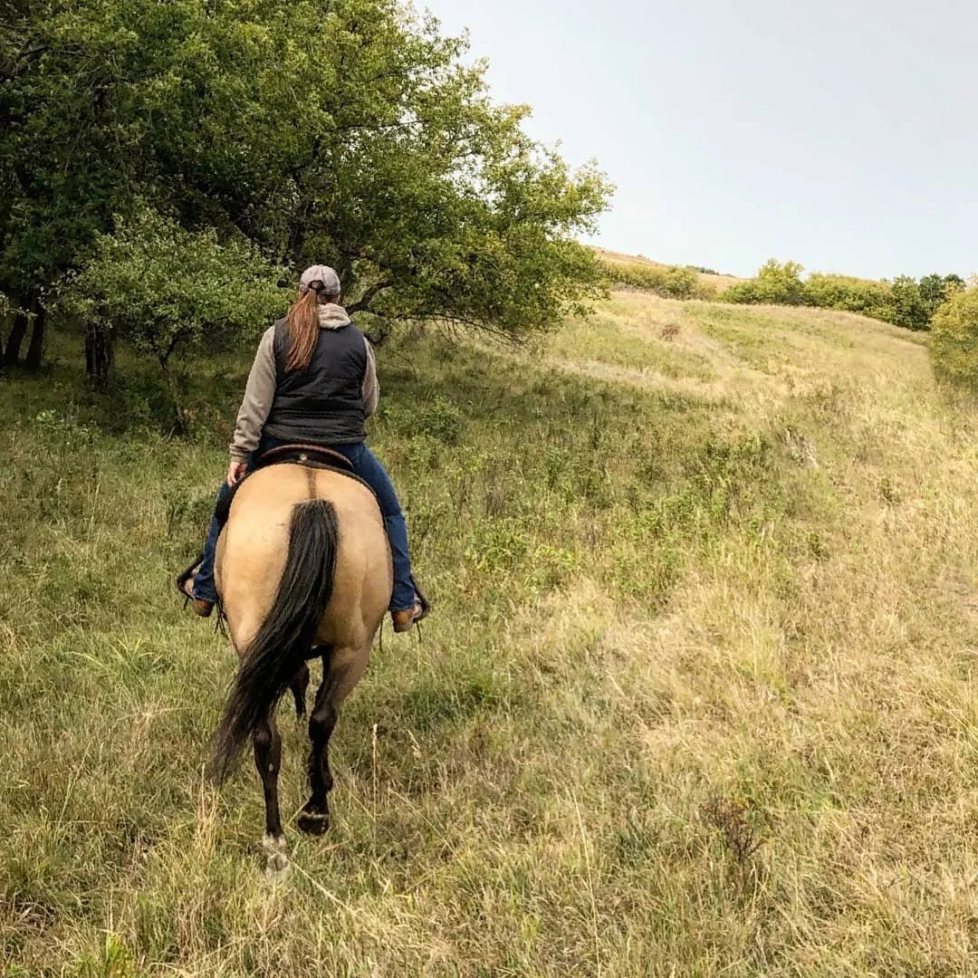 Called By The Horses ~ An Audio Recording