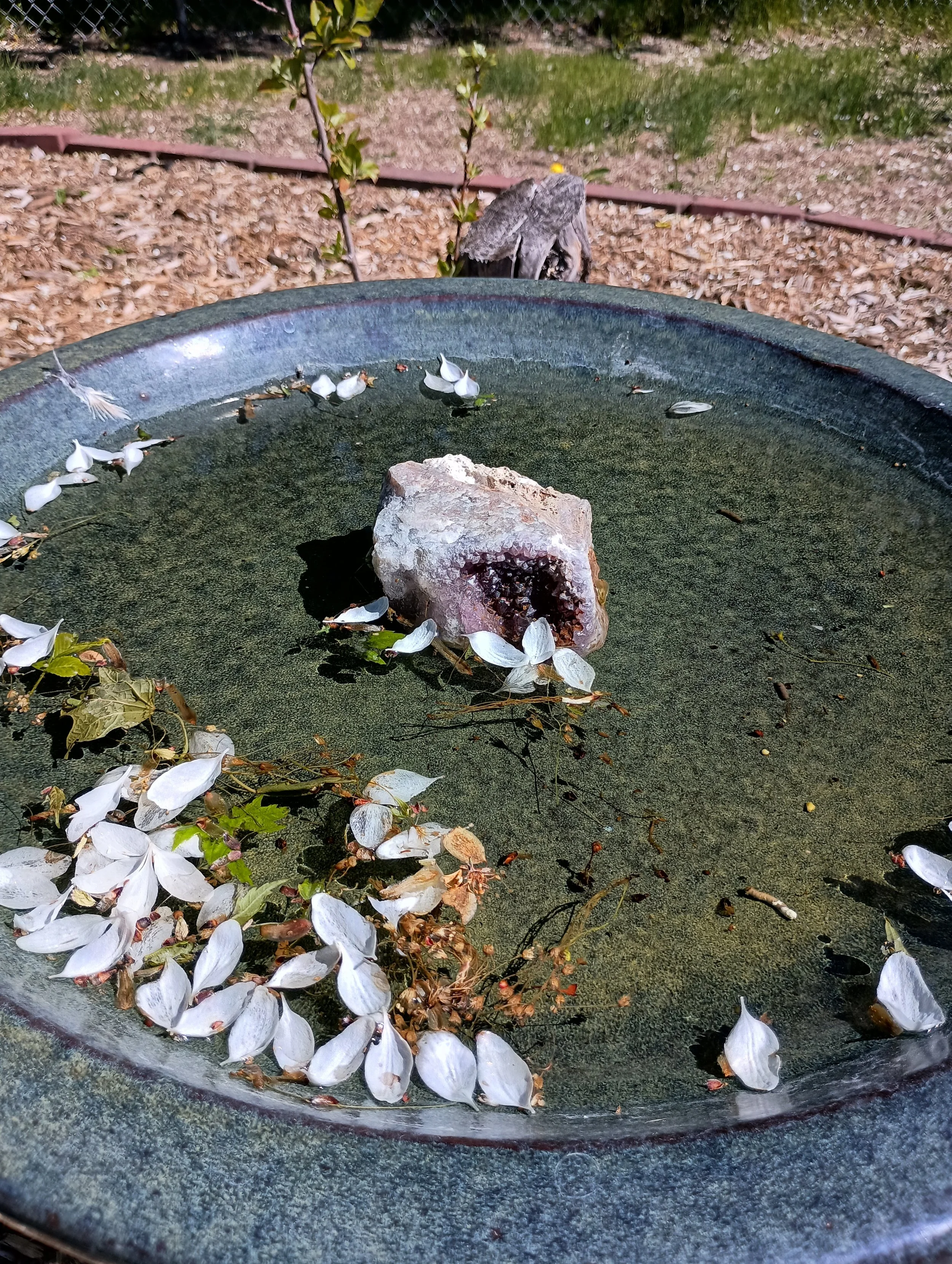 birdbath.jpg