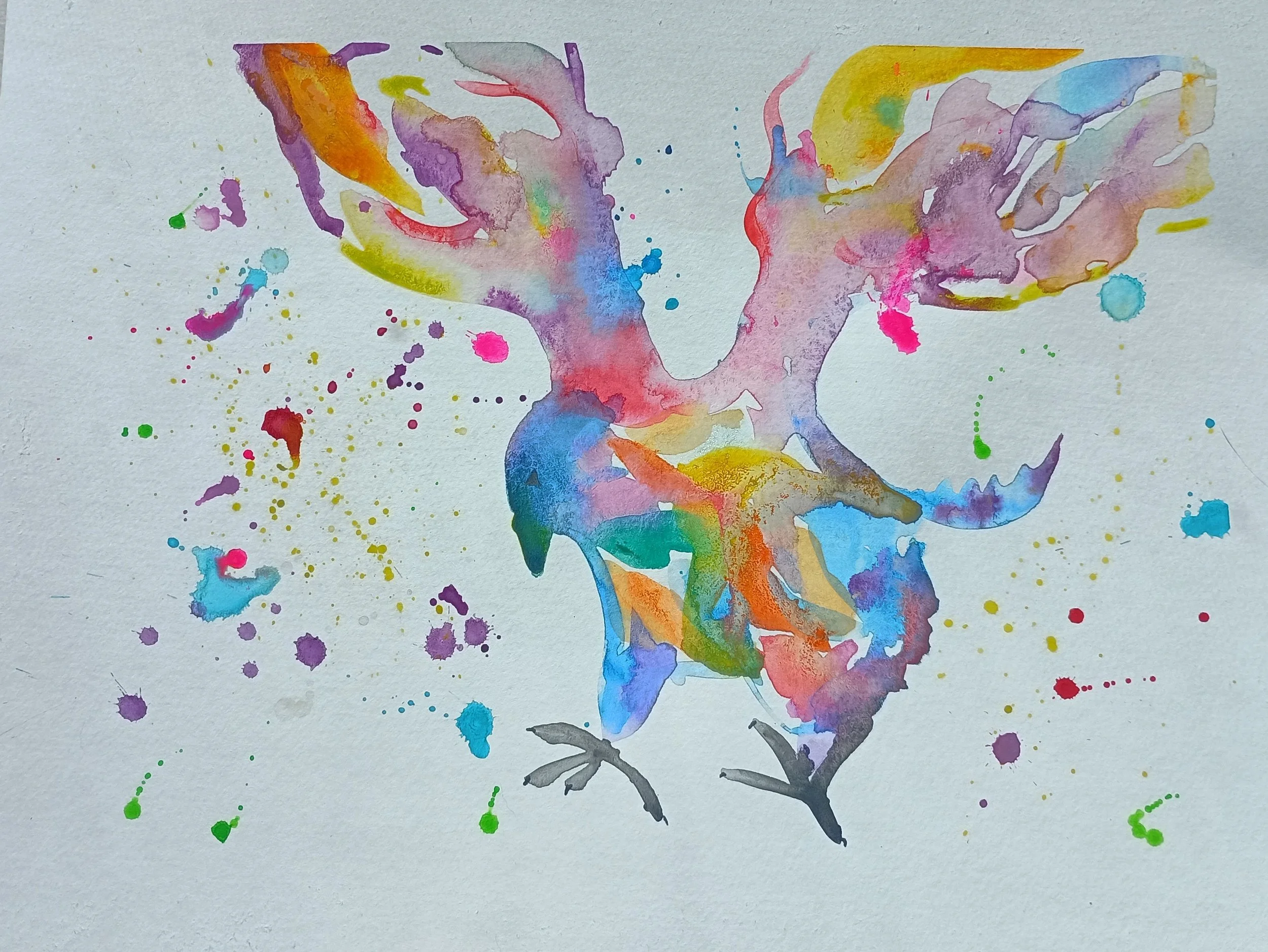 bird.jpg