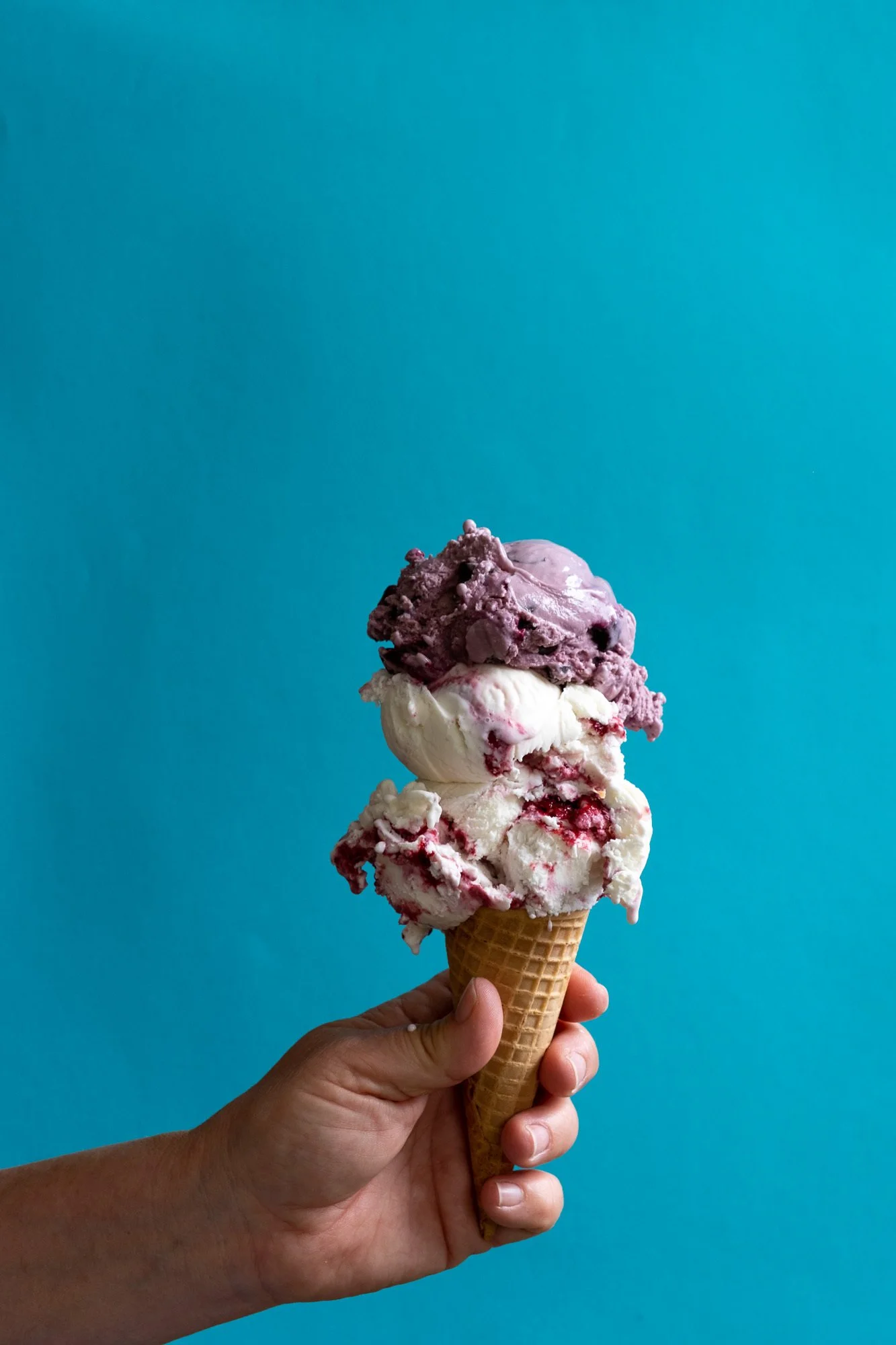 Pro-Capture One 0082-2.jpg