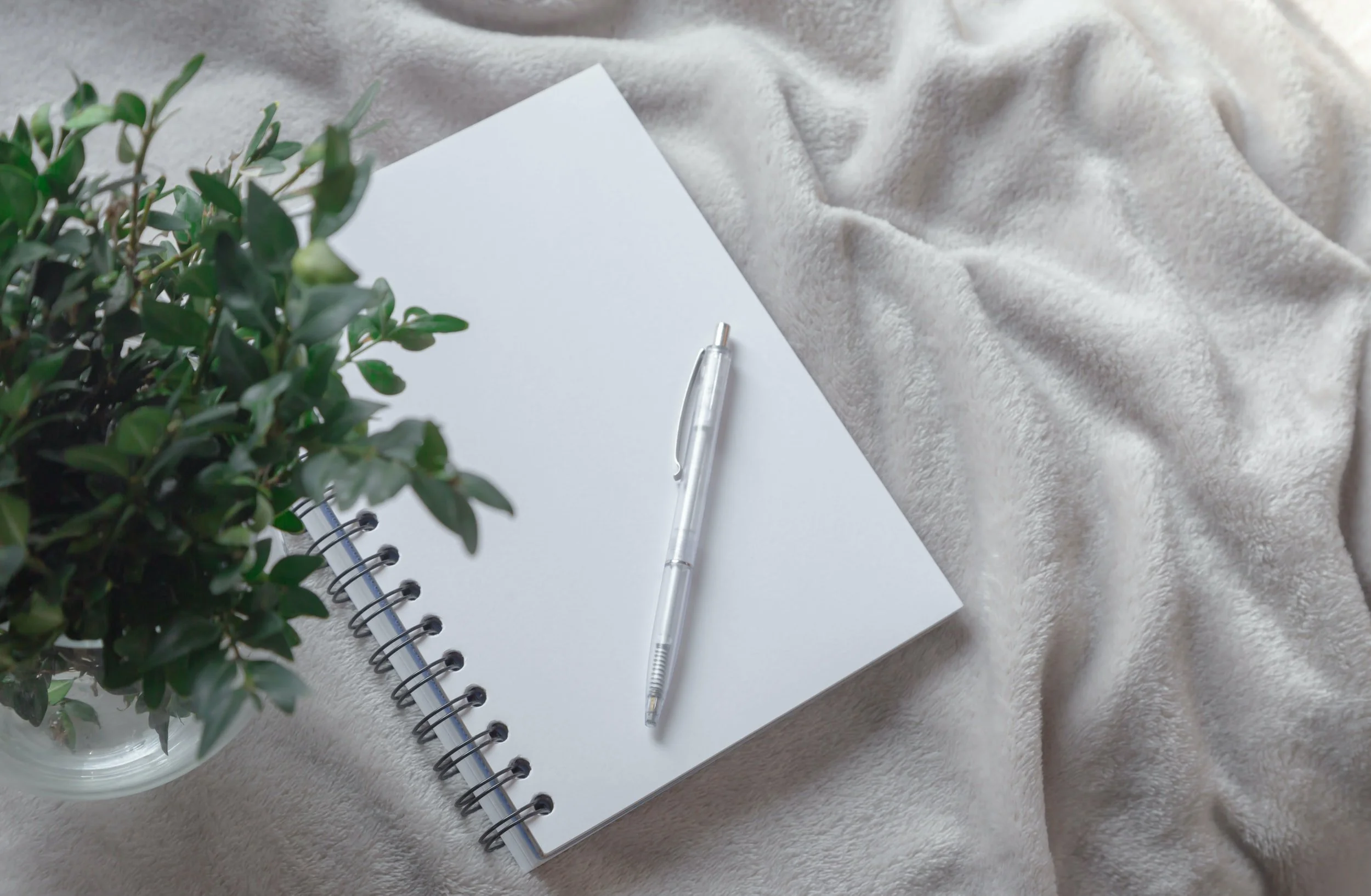 A blank spiral notebook with a transparent pen on top, placed on a soft beige fabric surface, with a green plant nearby.
