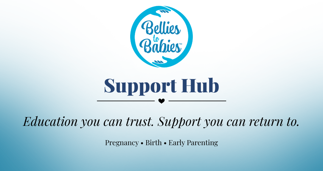 Bellies to Babies Support Hub with Skool