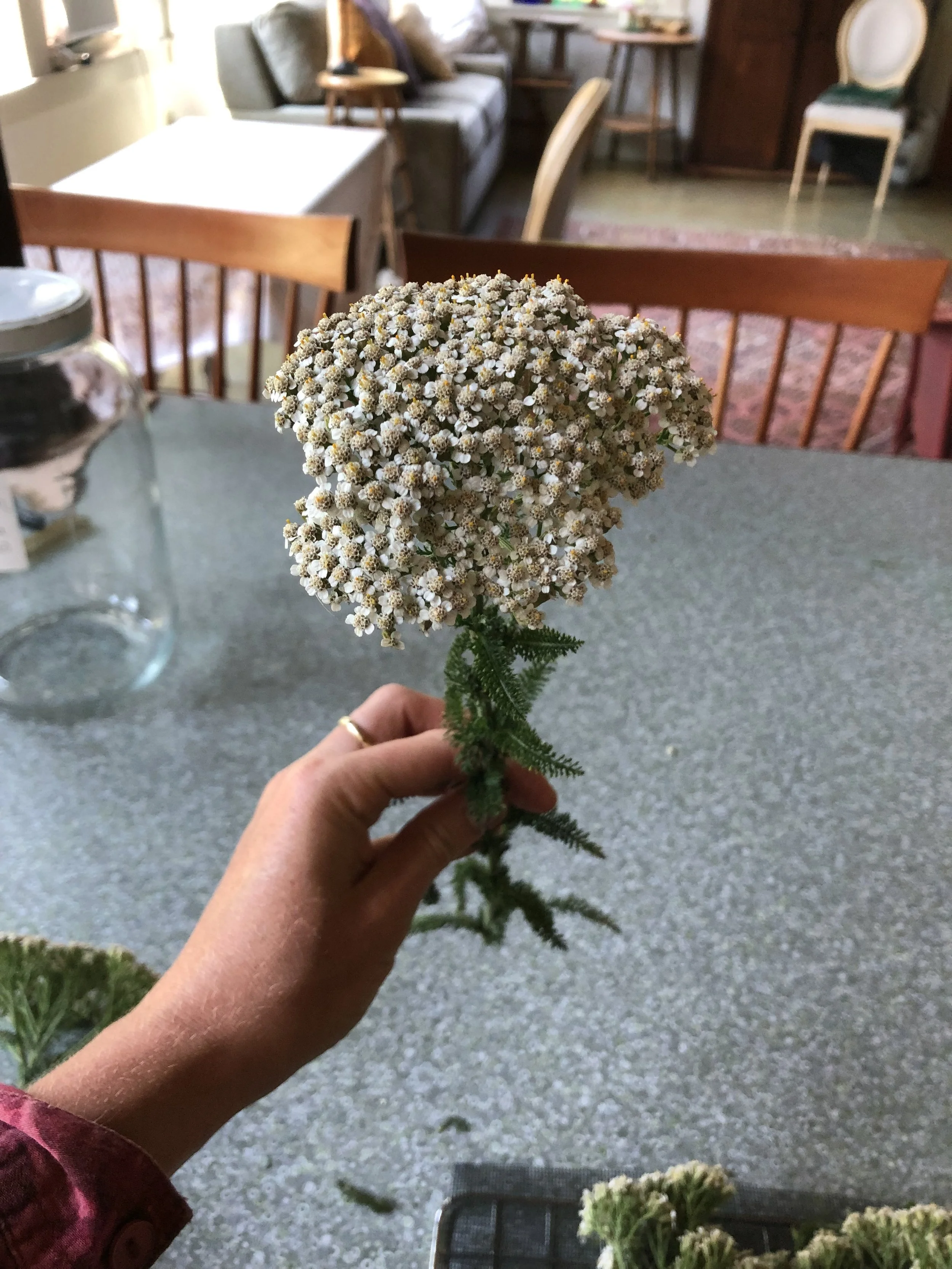 IMG_3050.jpeg