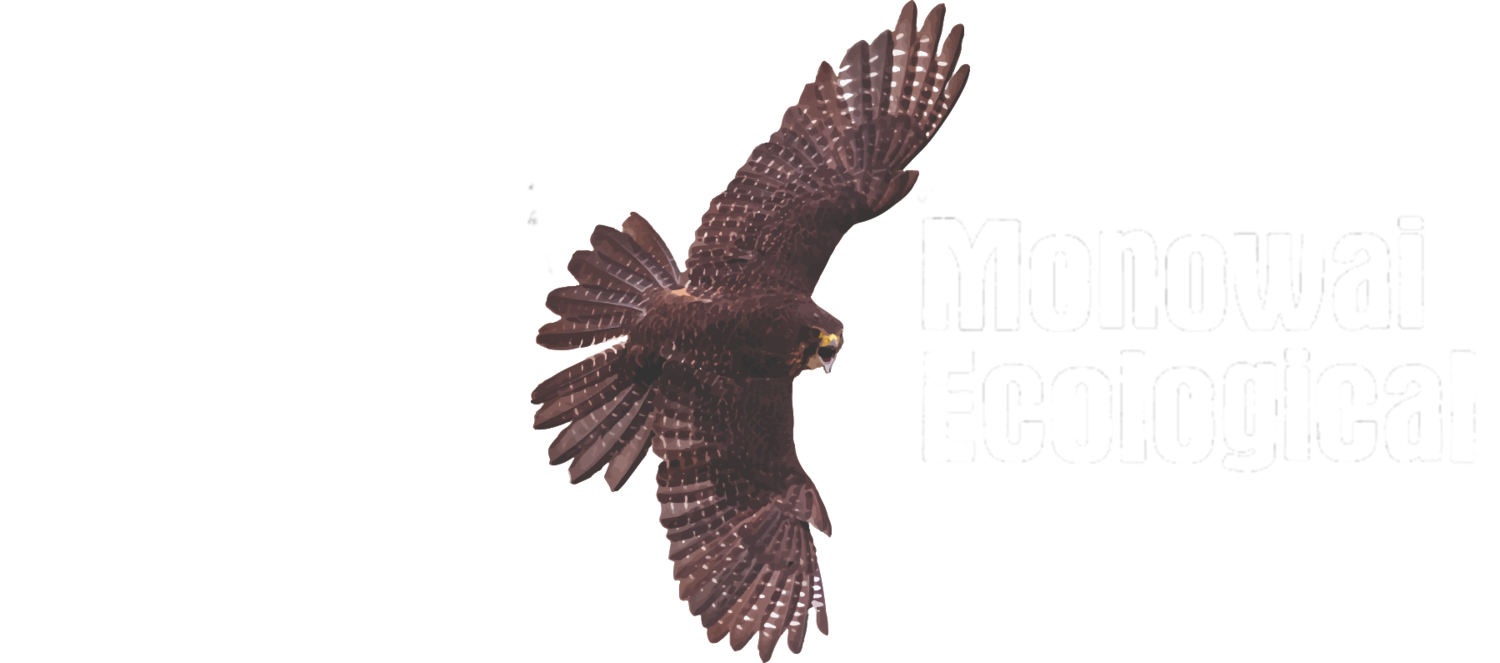 Monowai Ecological
