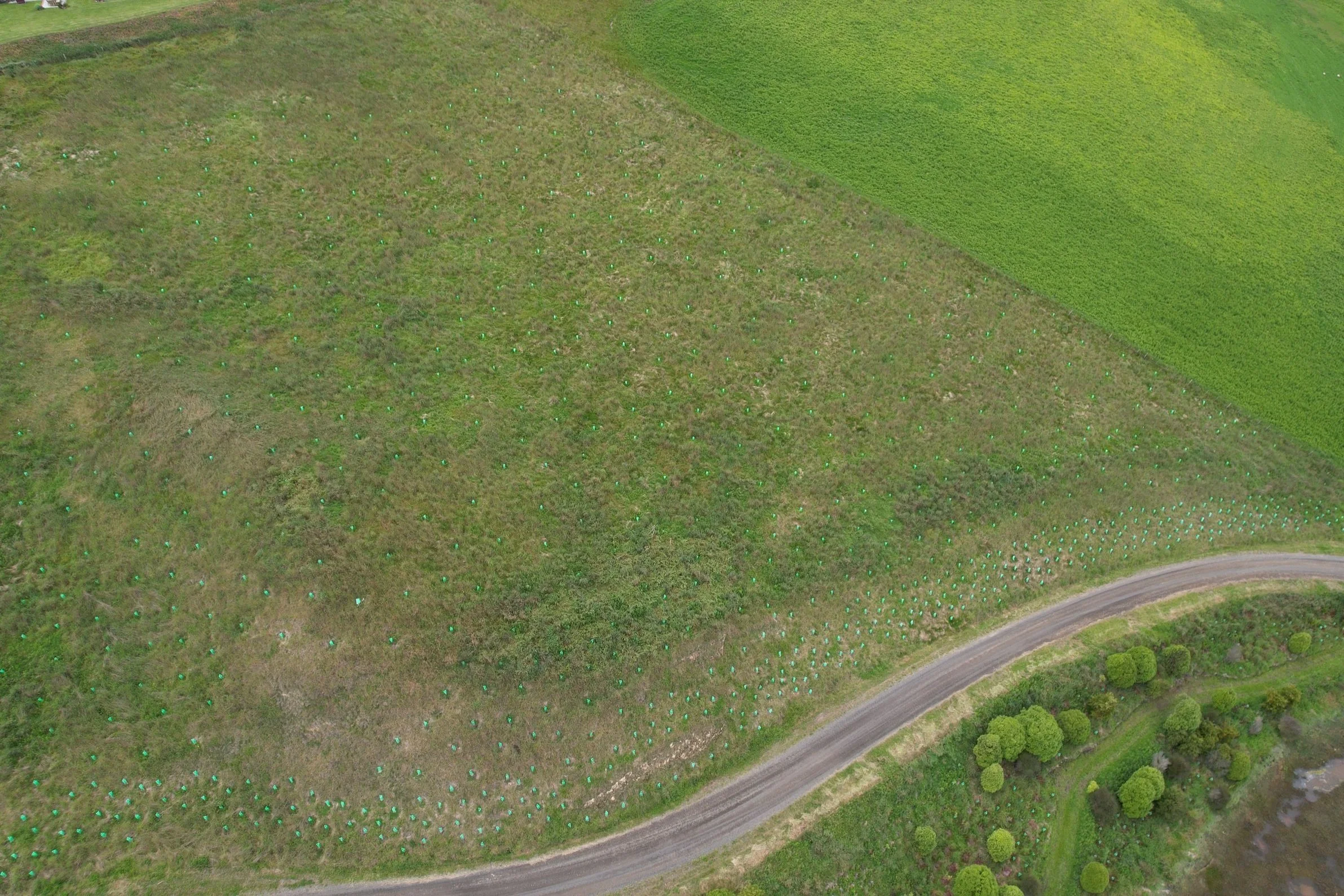 DJI_0130.jpg