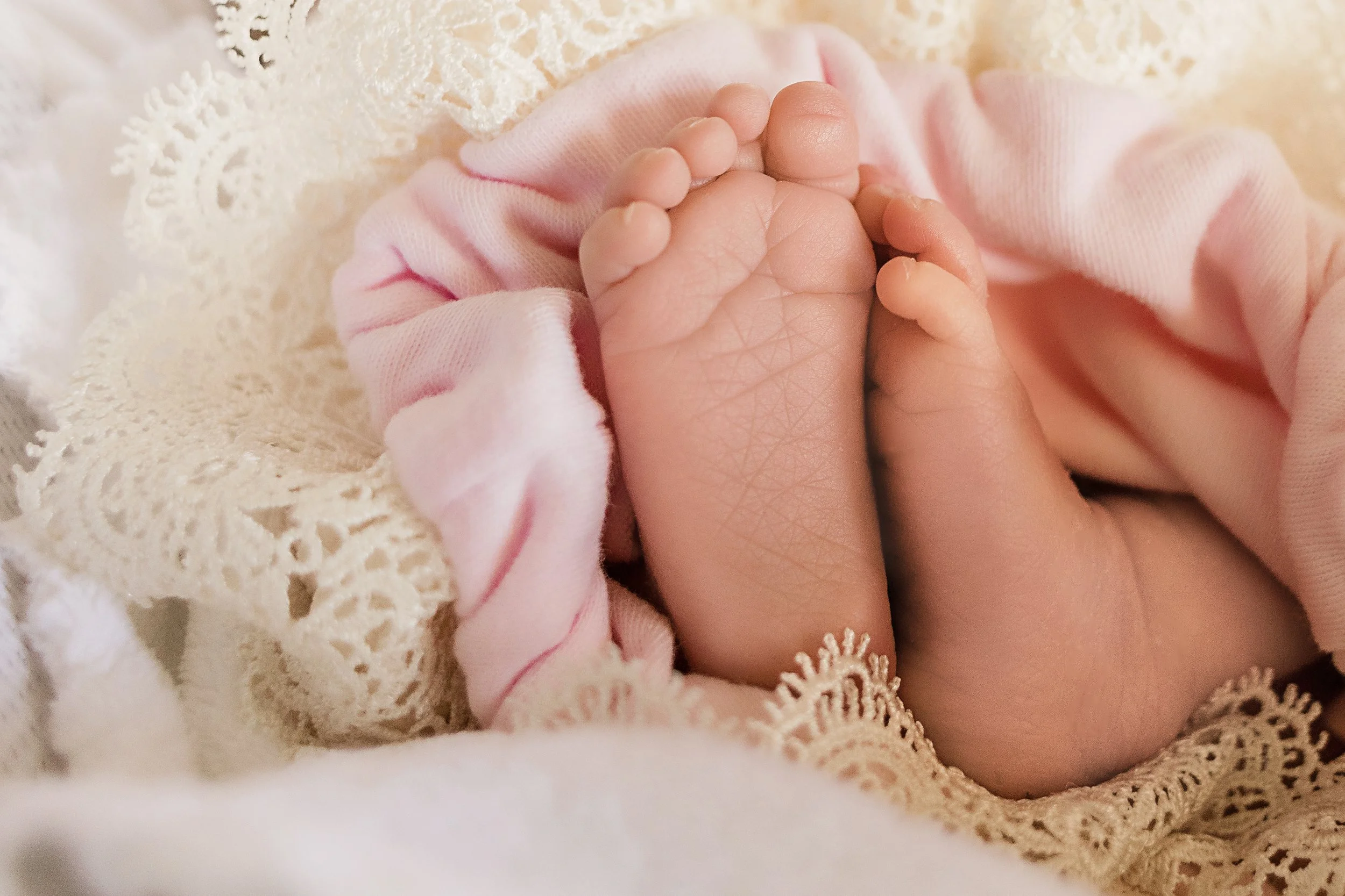 Close-up of a newborn baby's tiny feet, wrapped in soft pink fabric and lace.