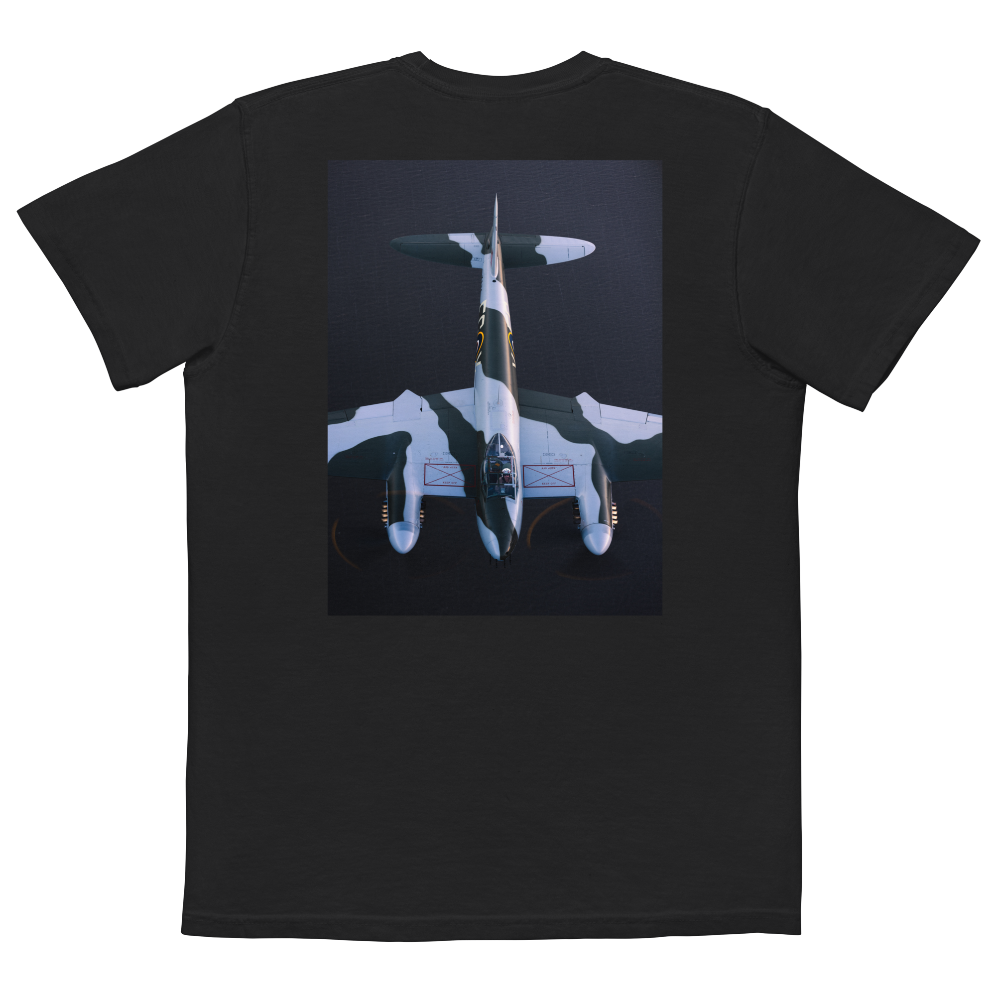 unisex-garment-dyed-pocket-t-shirt-black-back-6a690dd87658b.png
